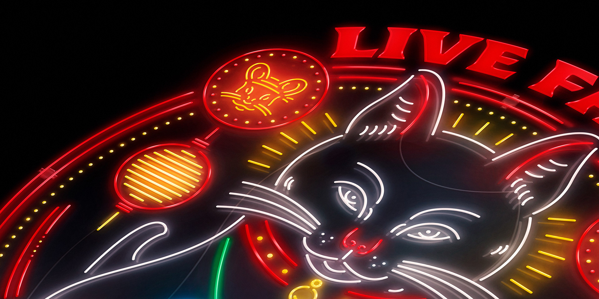 Japanese Sushi Cat Anime Manga Neon Design by Freelance Designer Jeffrey Dirkse