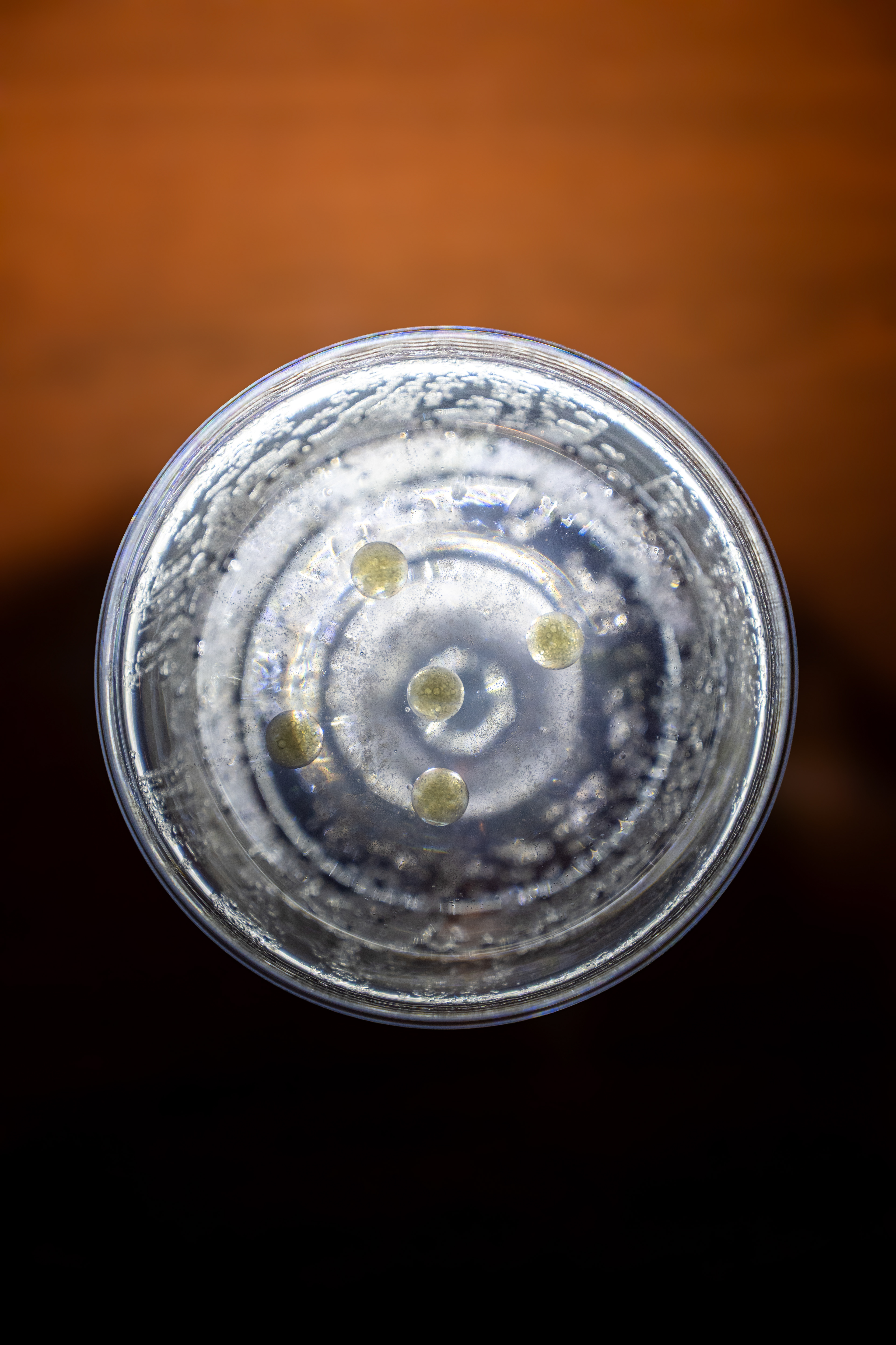 Photoshooting at Nyx The Bar