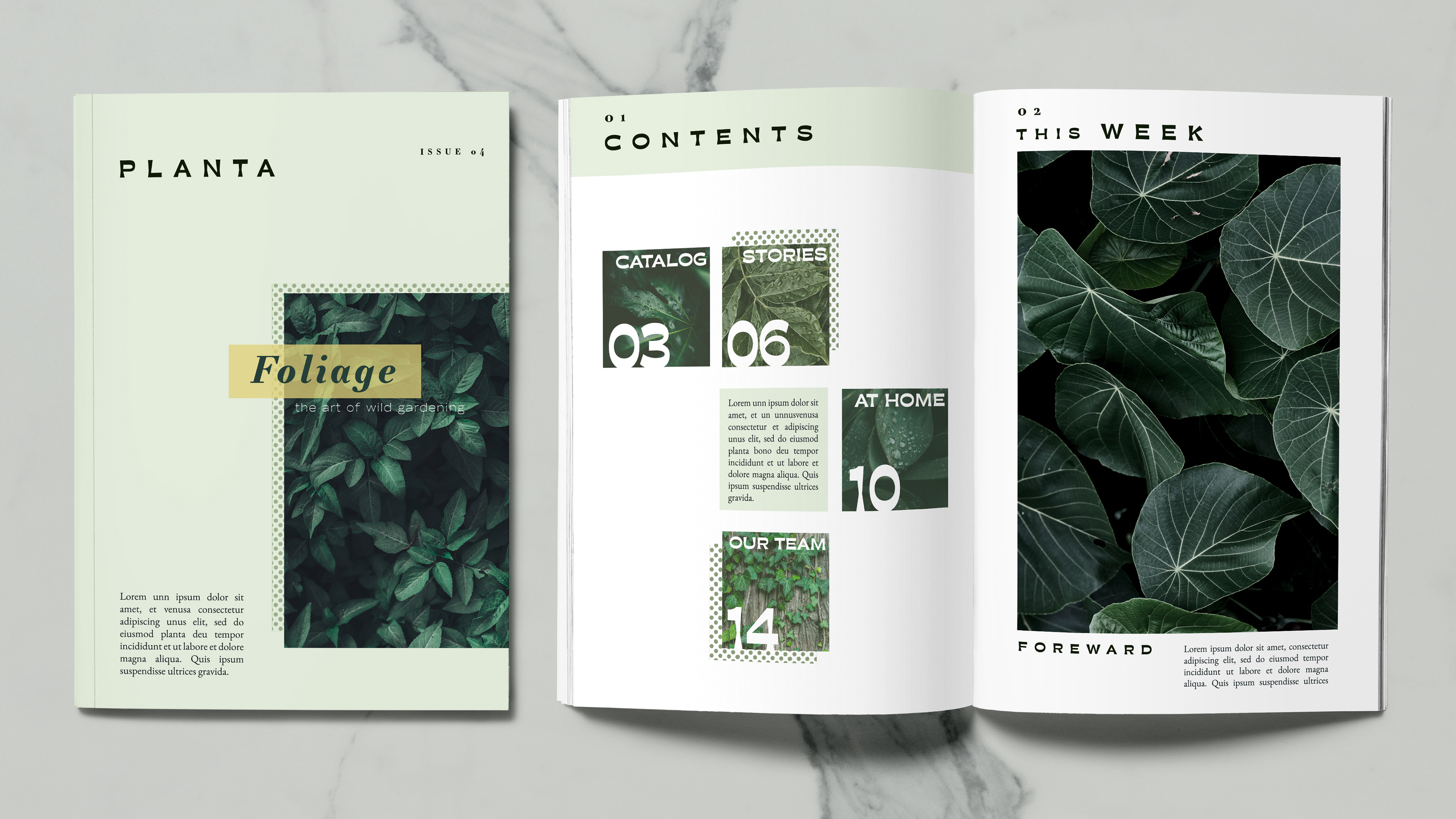 Planta Magazine - 2021; Fictional horticultural magazine layout and design created in a grid like pattern.