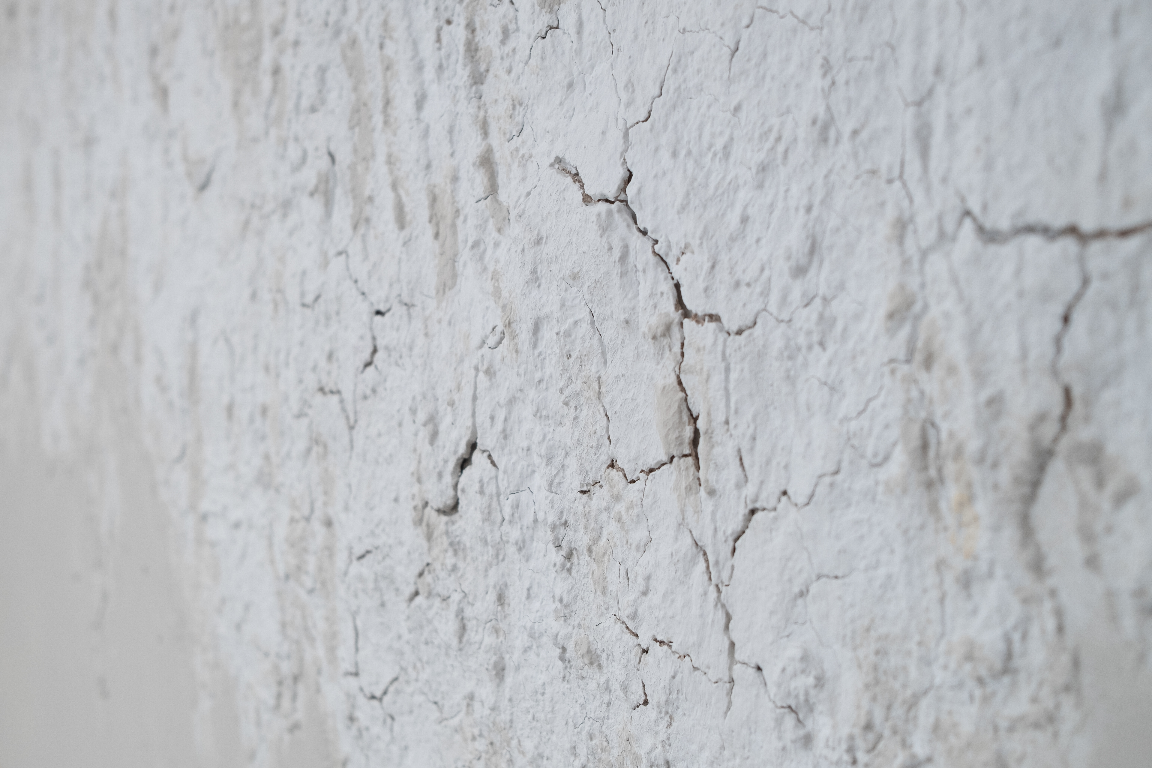 Tierra detalle