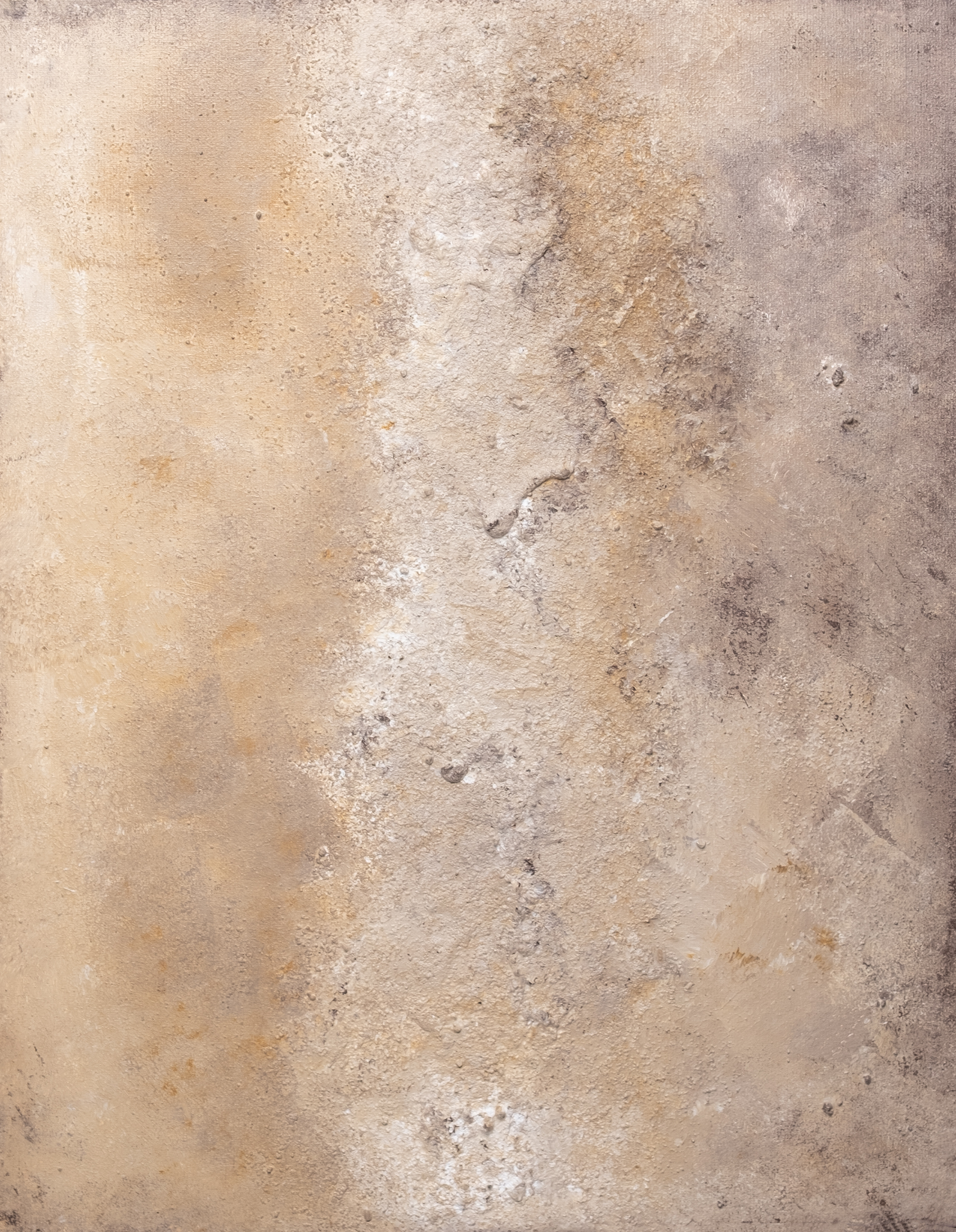 Detalle raices de la tierra 1