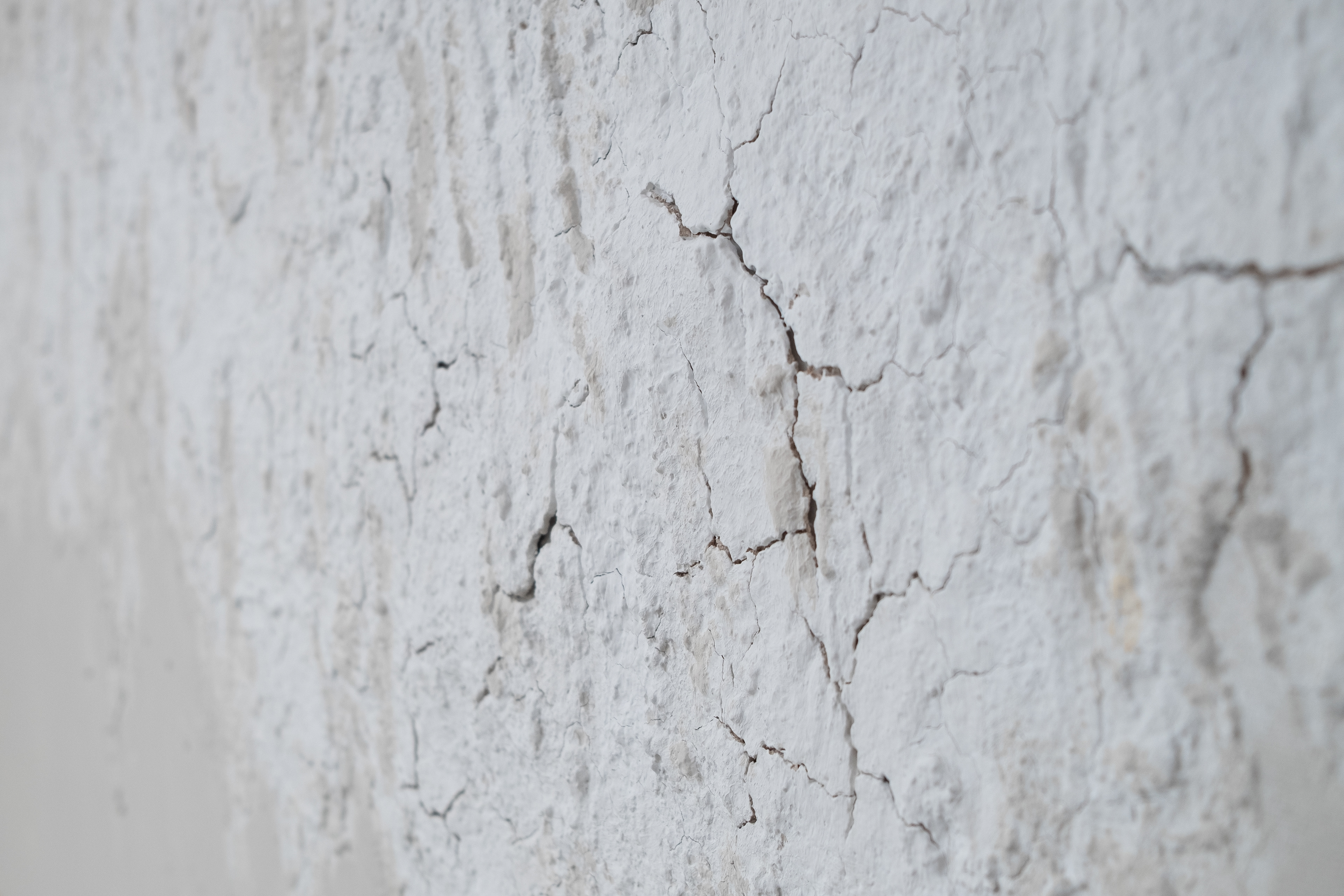 Detalle Tierra