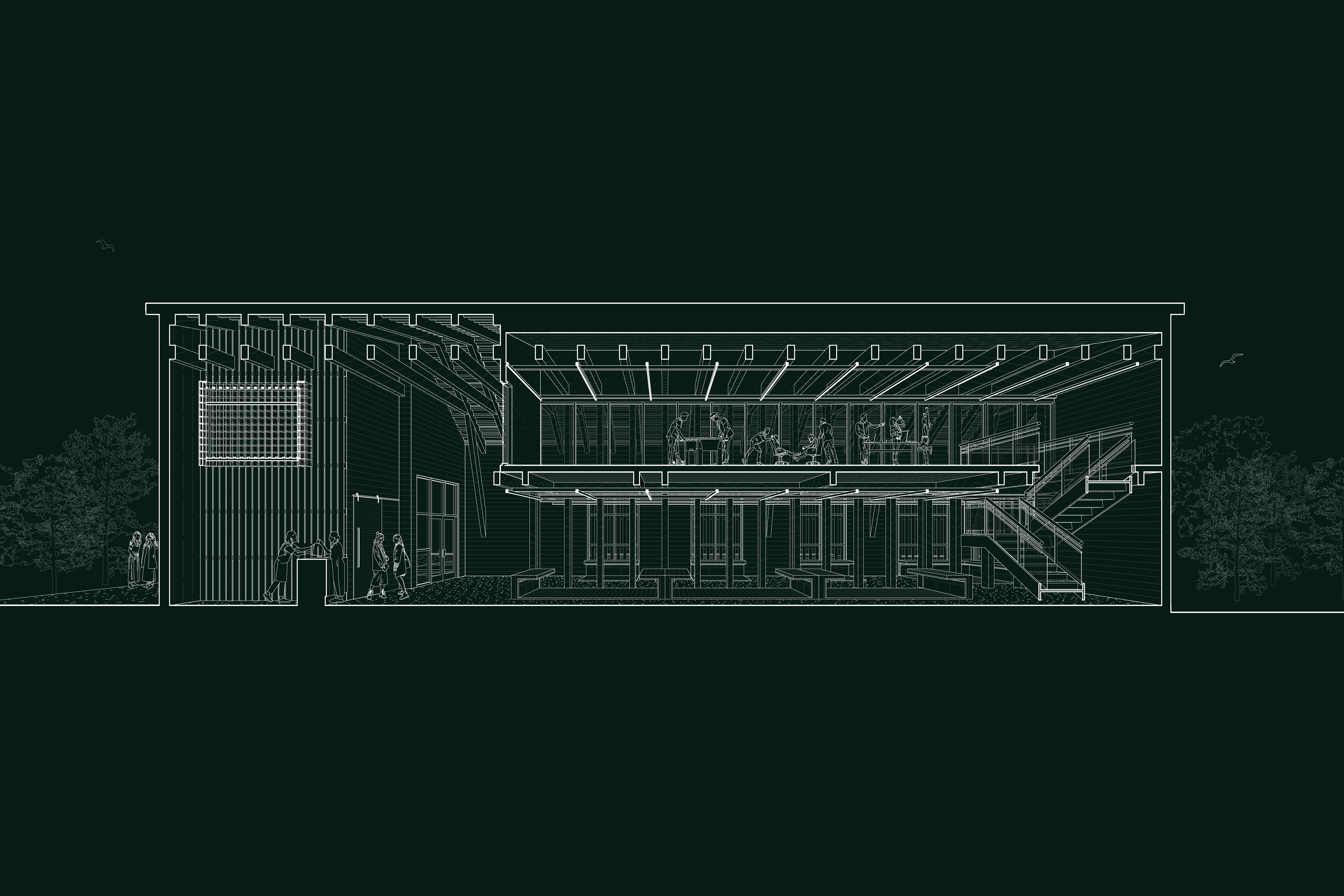 ridgehaus_section perspective b