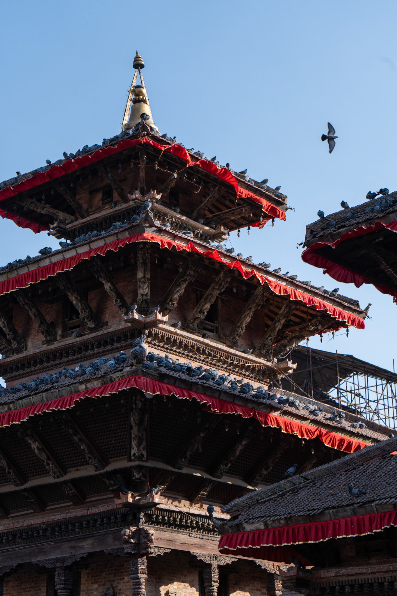 NEPAL 3