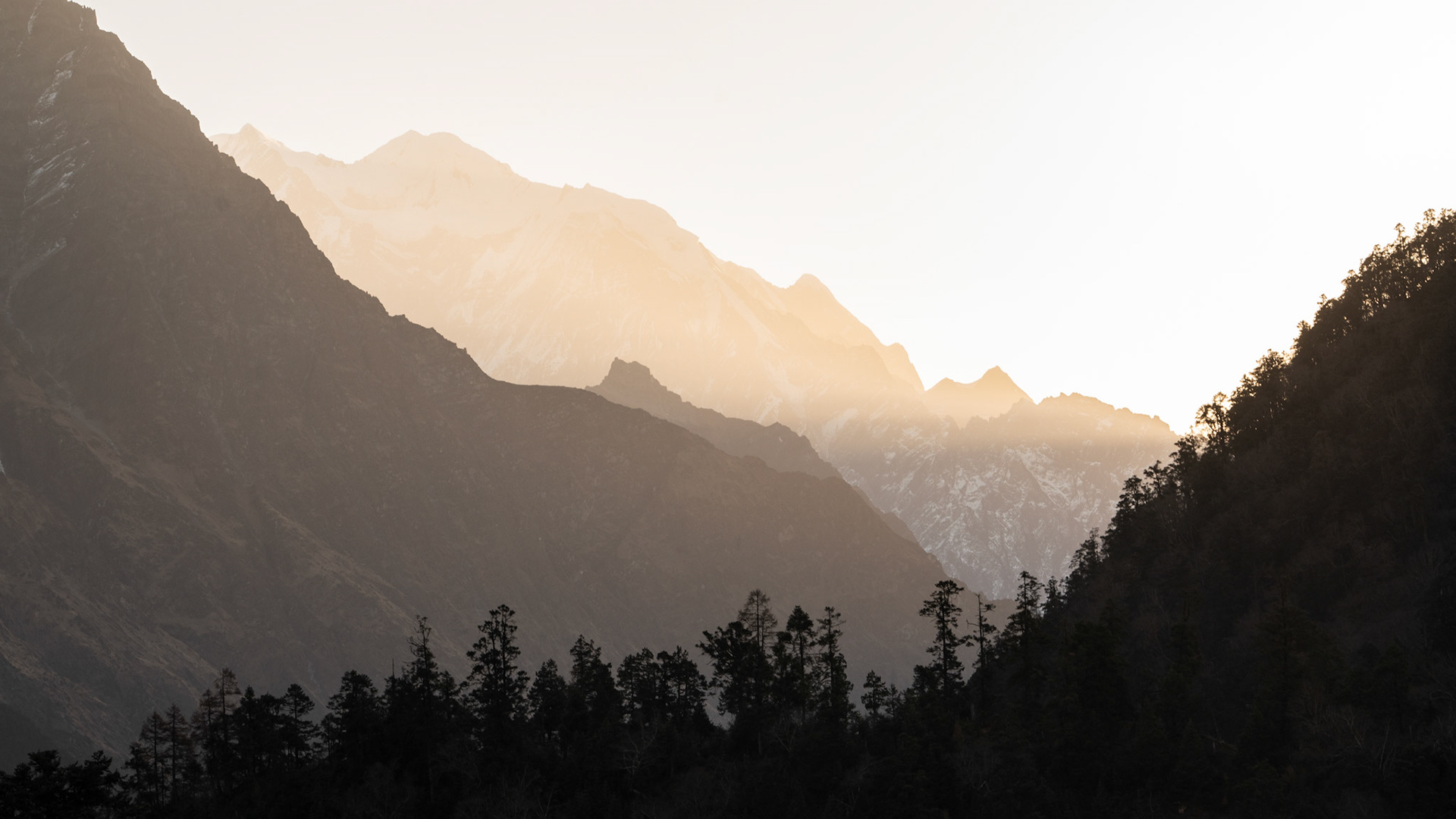 VALE MANASLU II