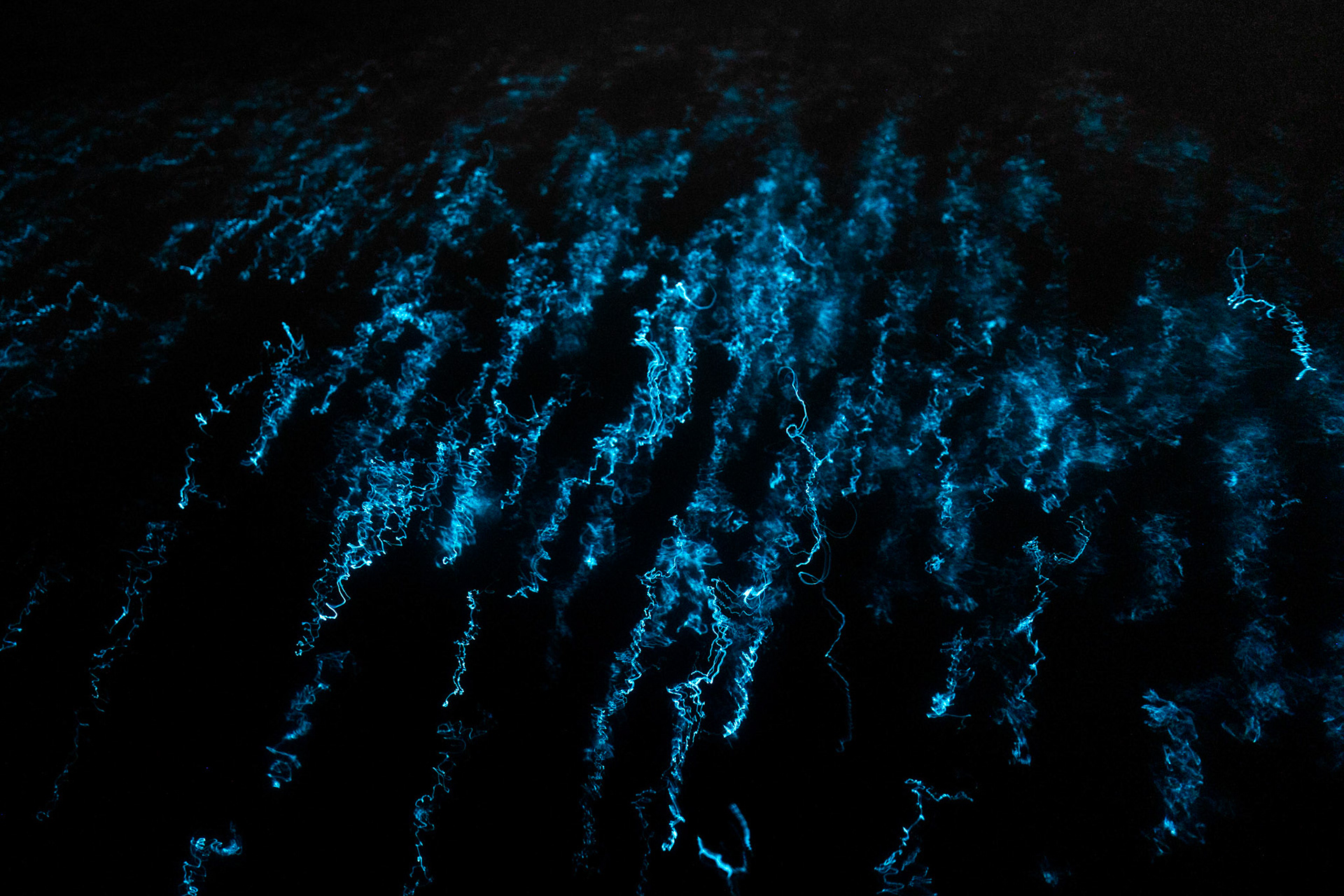 BIOLUZ 2