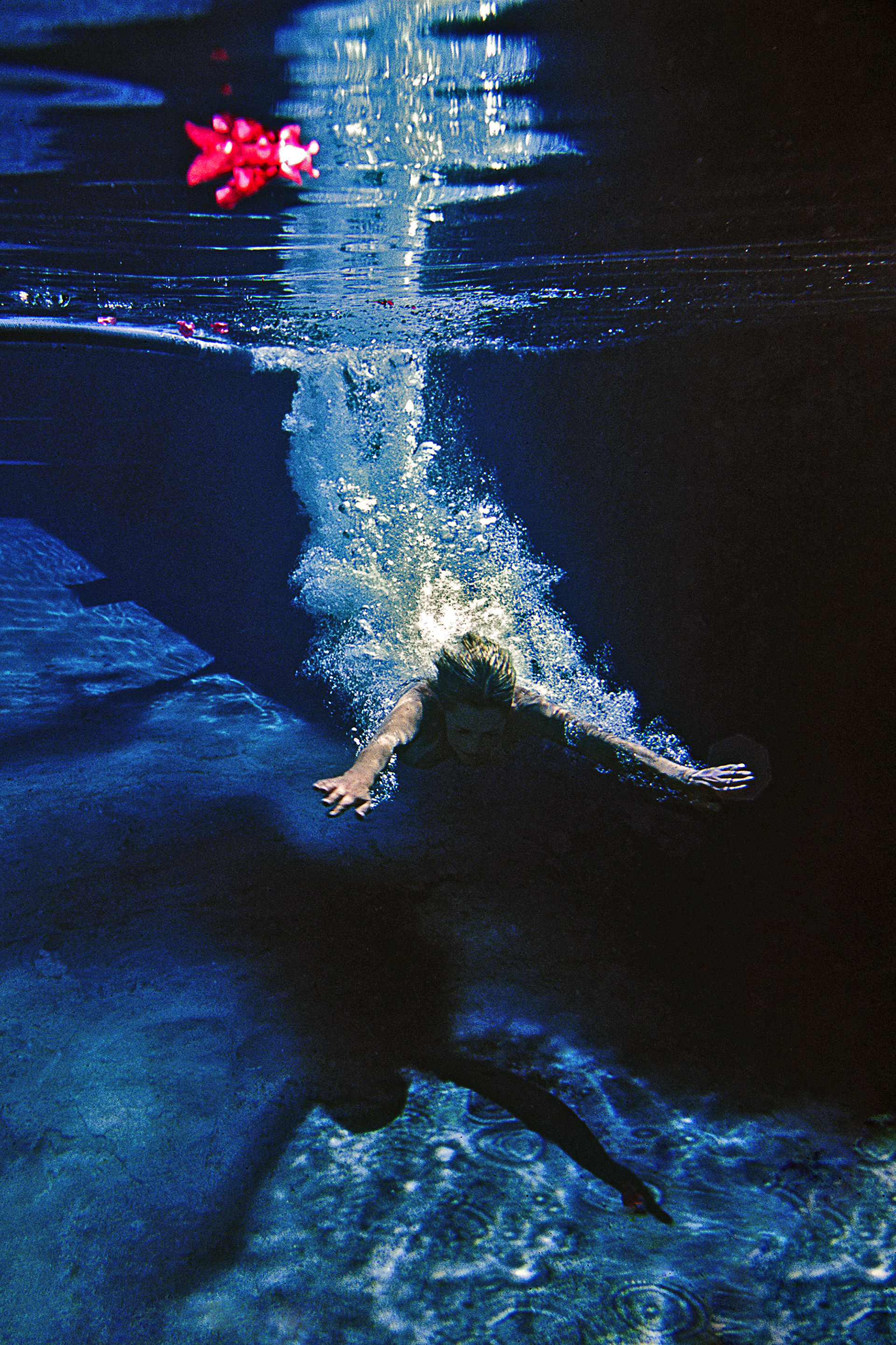 Brunette model diving in swimming pool trailing bubbles with bougainvillea petals on water