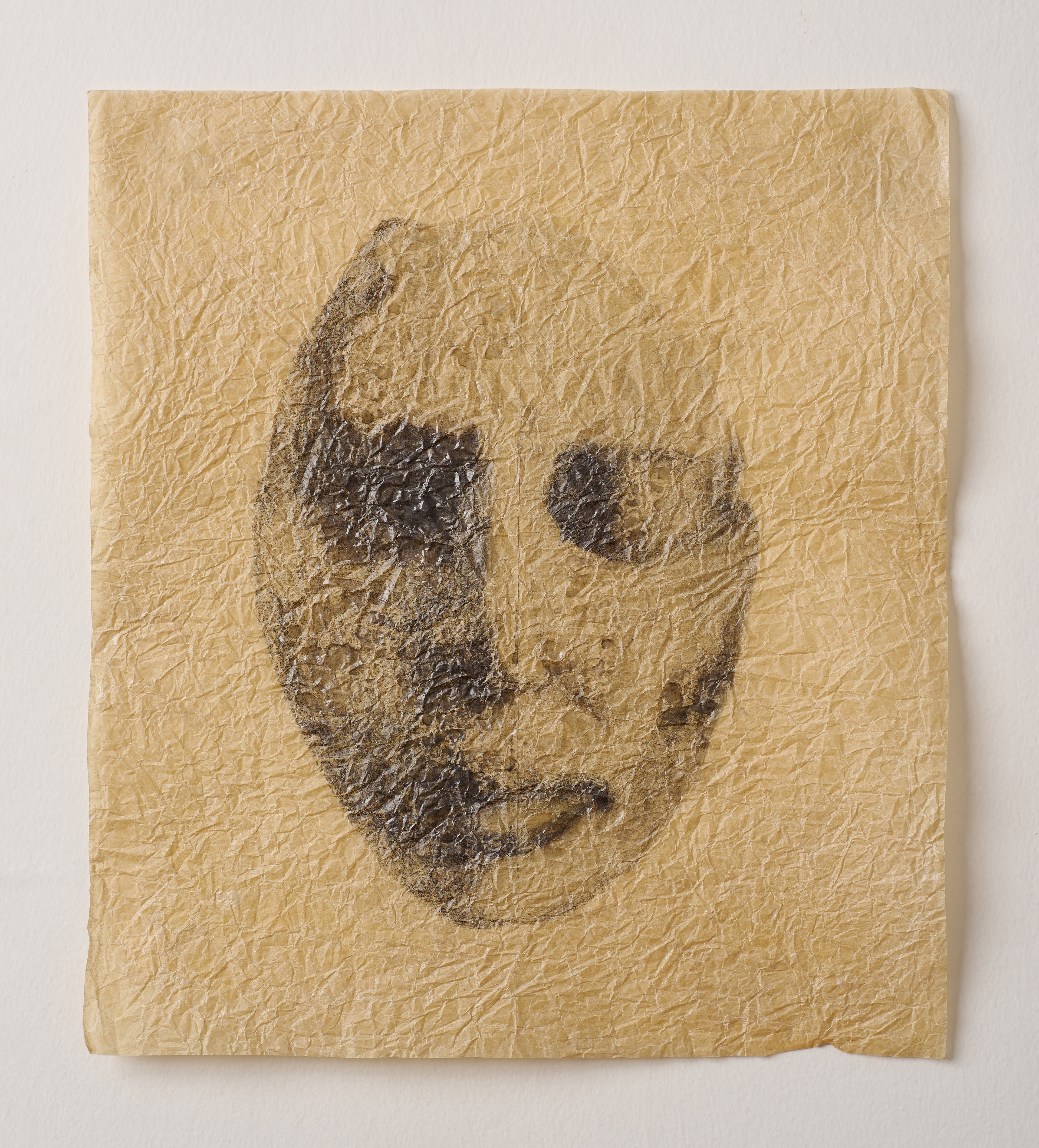 Pencil on paper 35X40 cm