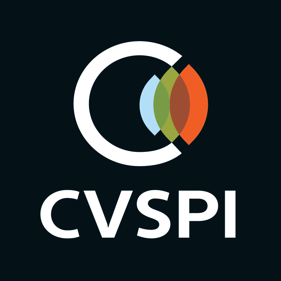 Chippewa Valley Suicide Prevention Initiative - Fall 2023