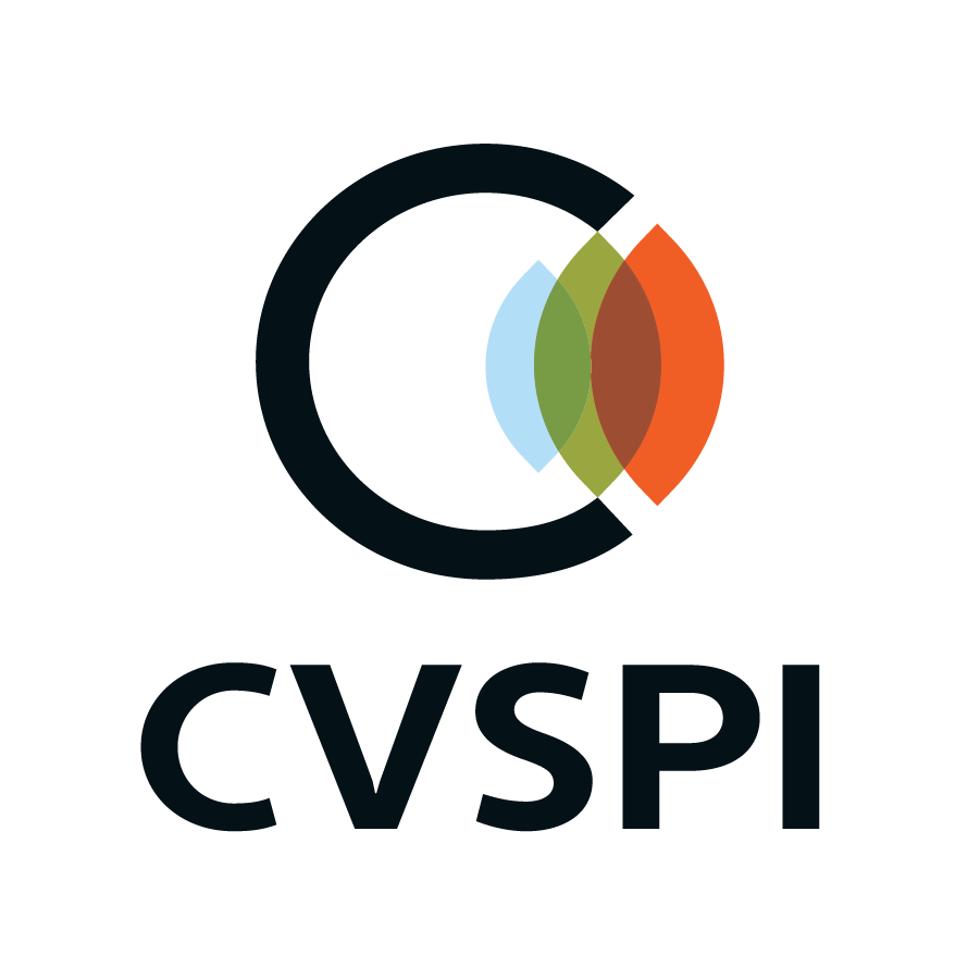 Chippewa Valley Suicide Prevention Initiative - Fall 2023