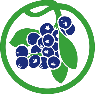 Royal Blueberries