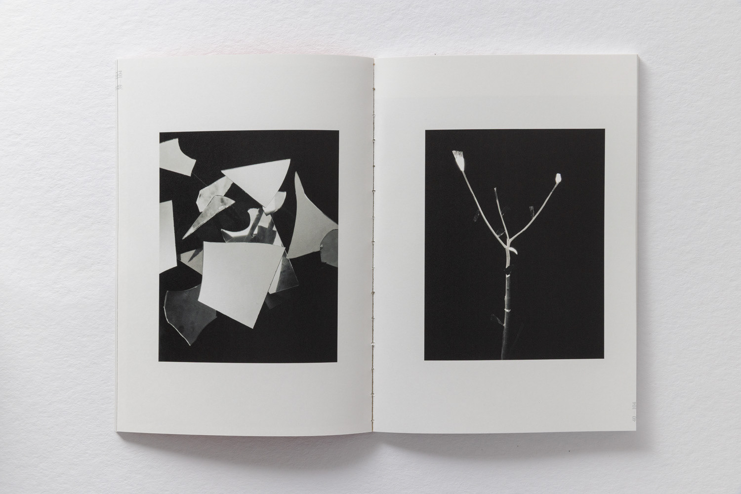 ZeroFeedBack Book: Not for what was, but for what still lingers. Futures What Remains When Everything Else Disappears