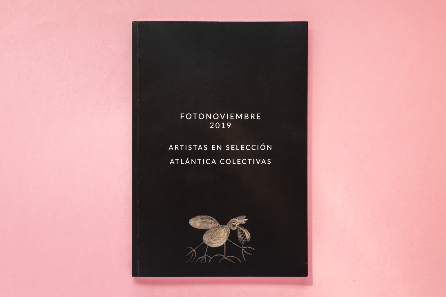 CATALOGUE - Fotonoviembre 2019 - British Subject - Attilio Fiumarella