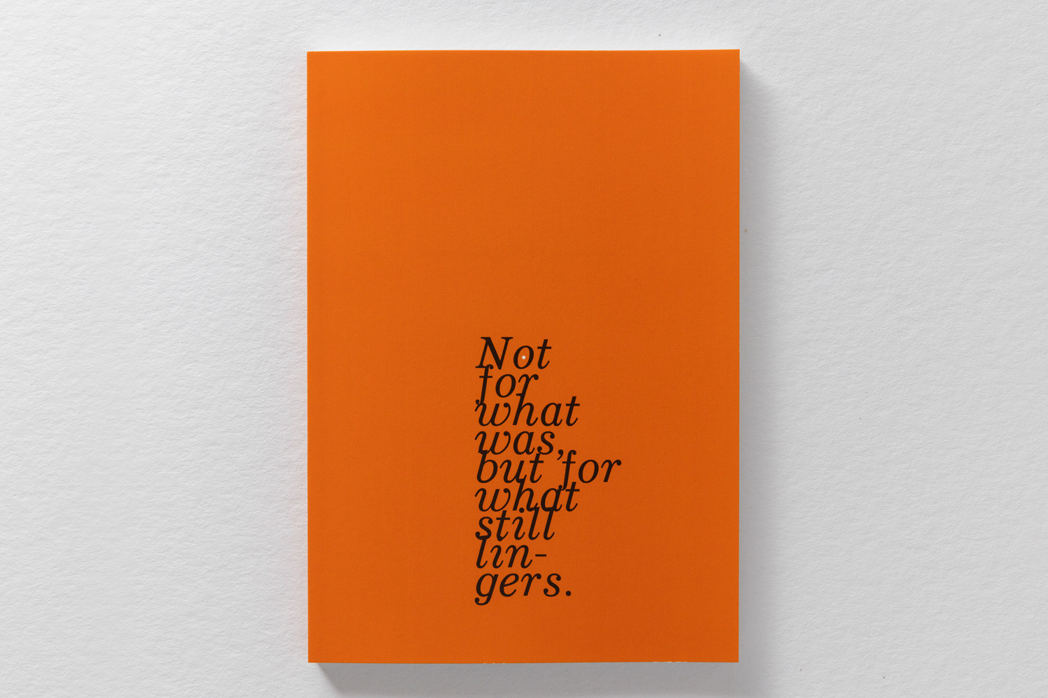 ZeroFeedBack Book: Not for what was, but for what still lingers. Futures What Remains When Everything Else Disappears