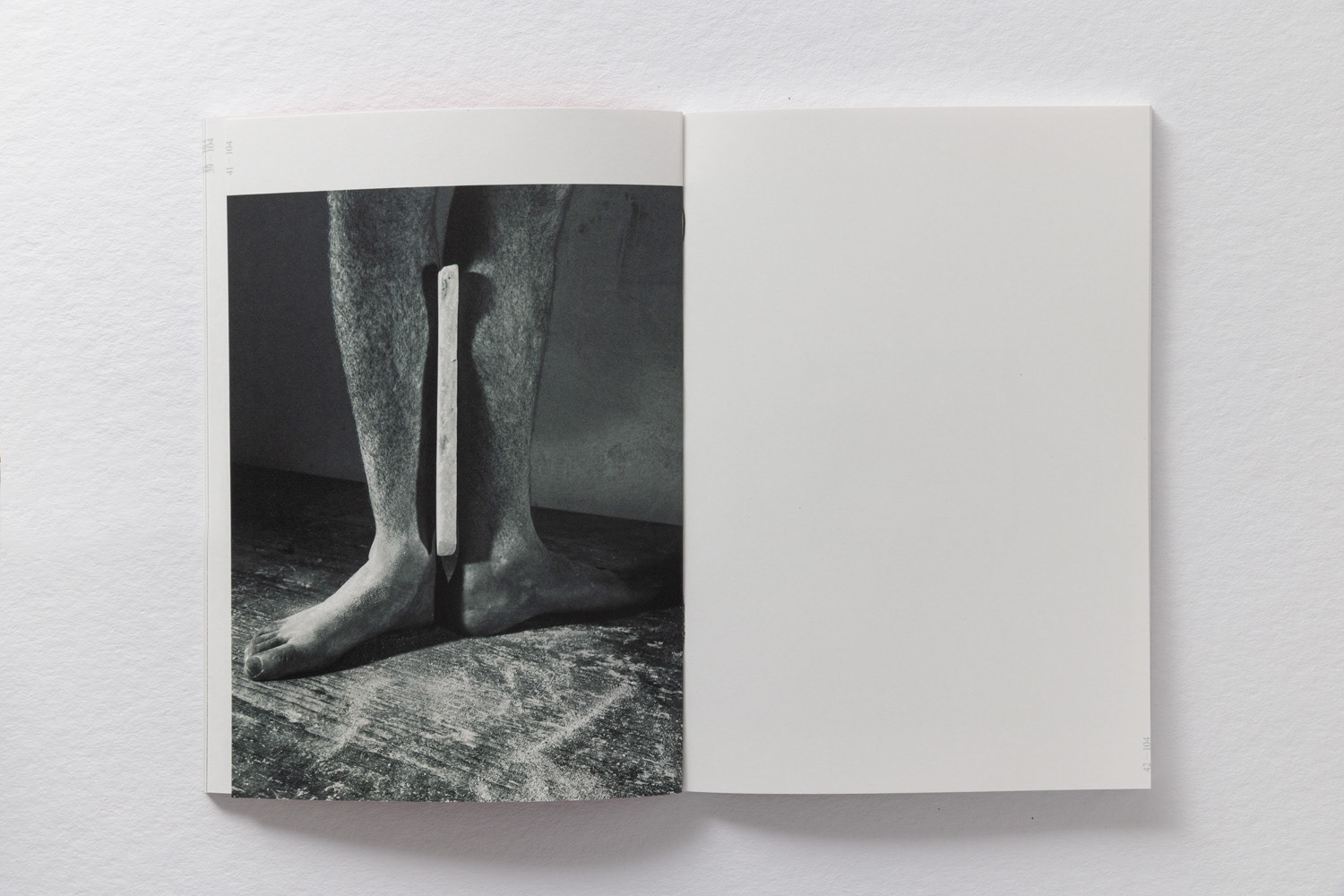 ZeroFeedBack Book: Not for what was, but for what still lingers. Futures What Remains When Everything Else Disappears