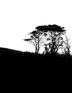 Moorside Photography