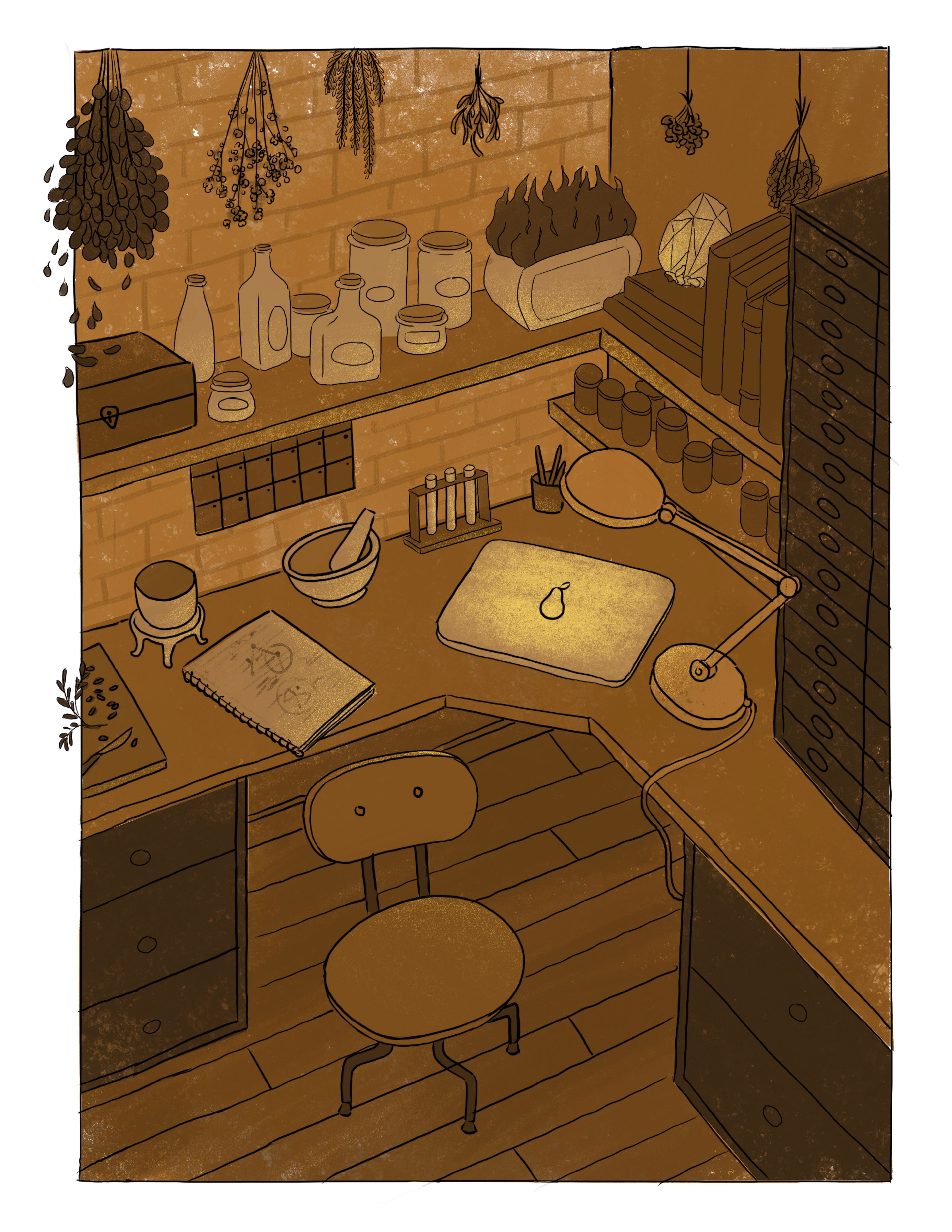 an orange office or study with plants and herbs.