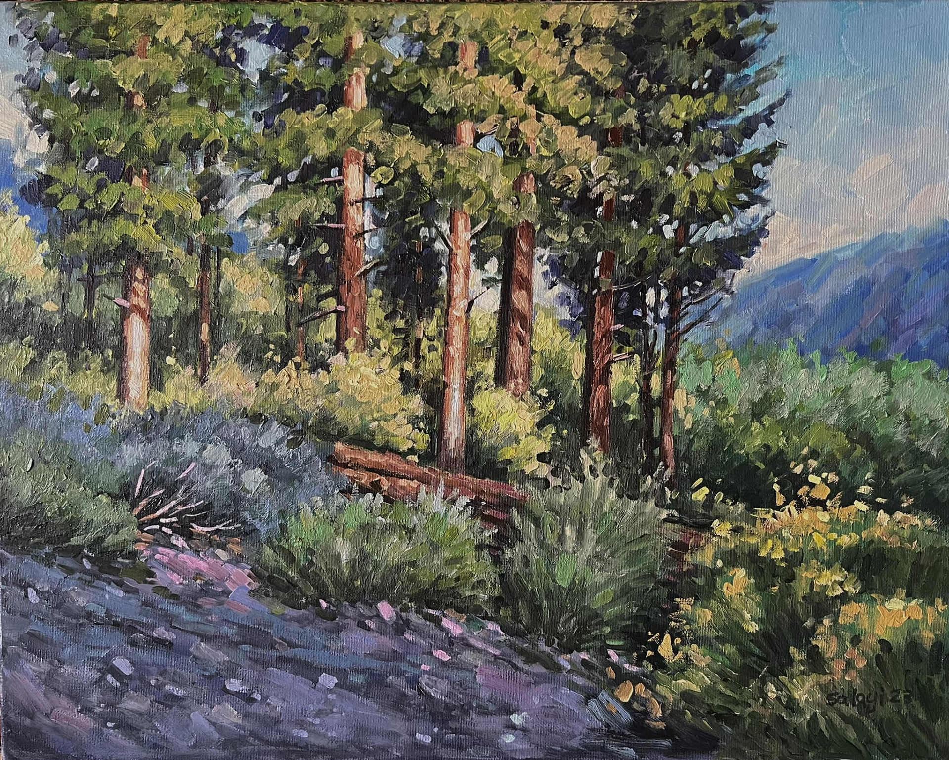 Poetic Lights : 16x20” Oil on Canvas