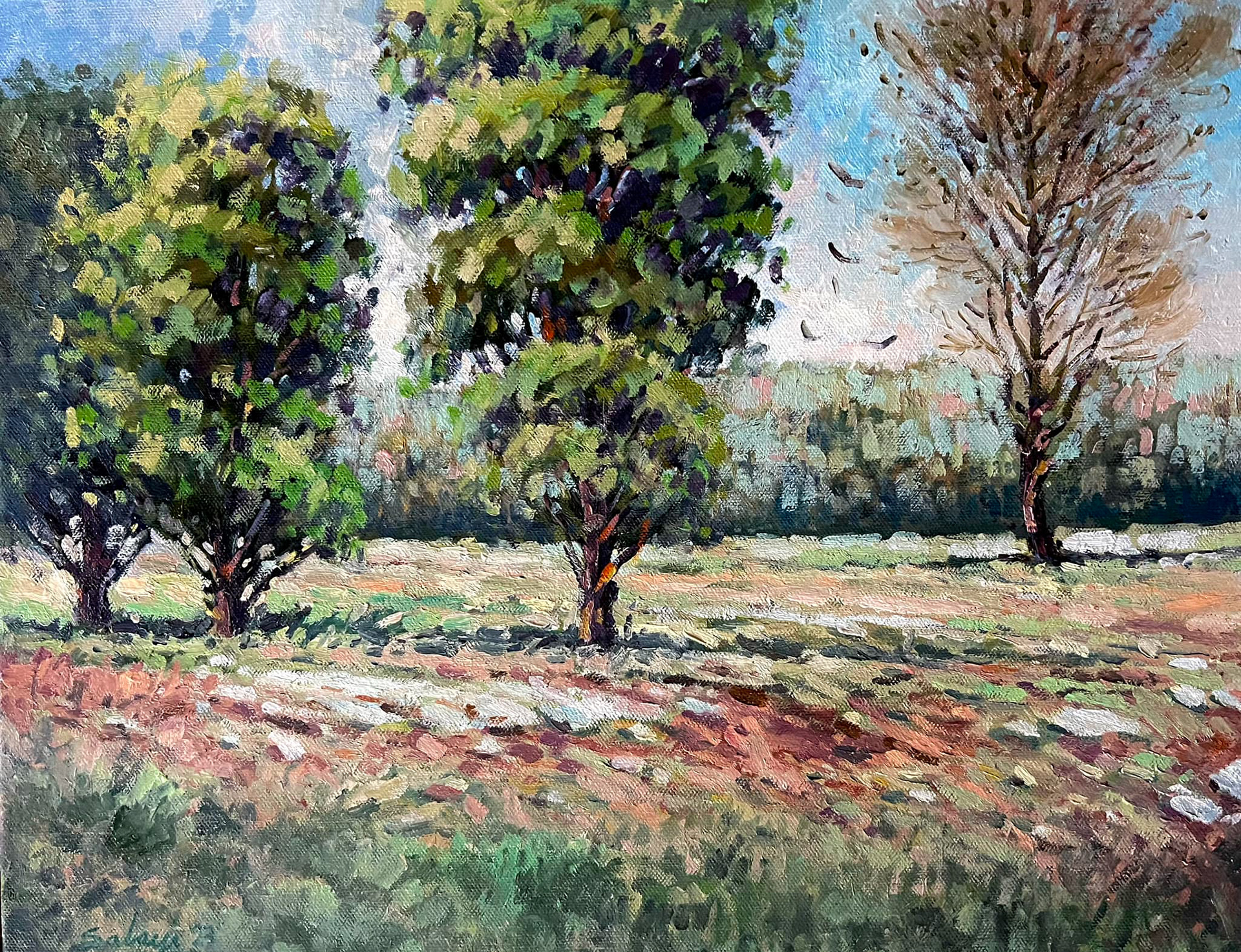 Vast Land : 16x20” Oil on Stretched Canvas