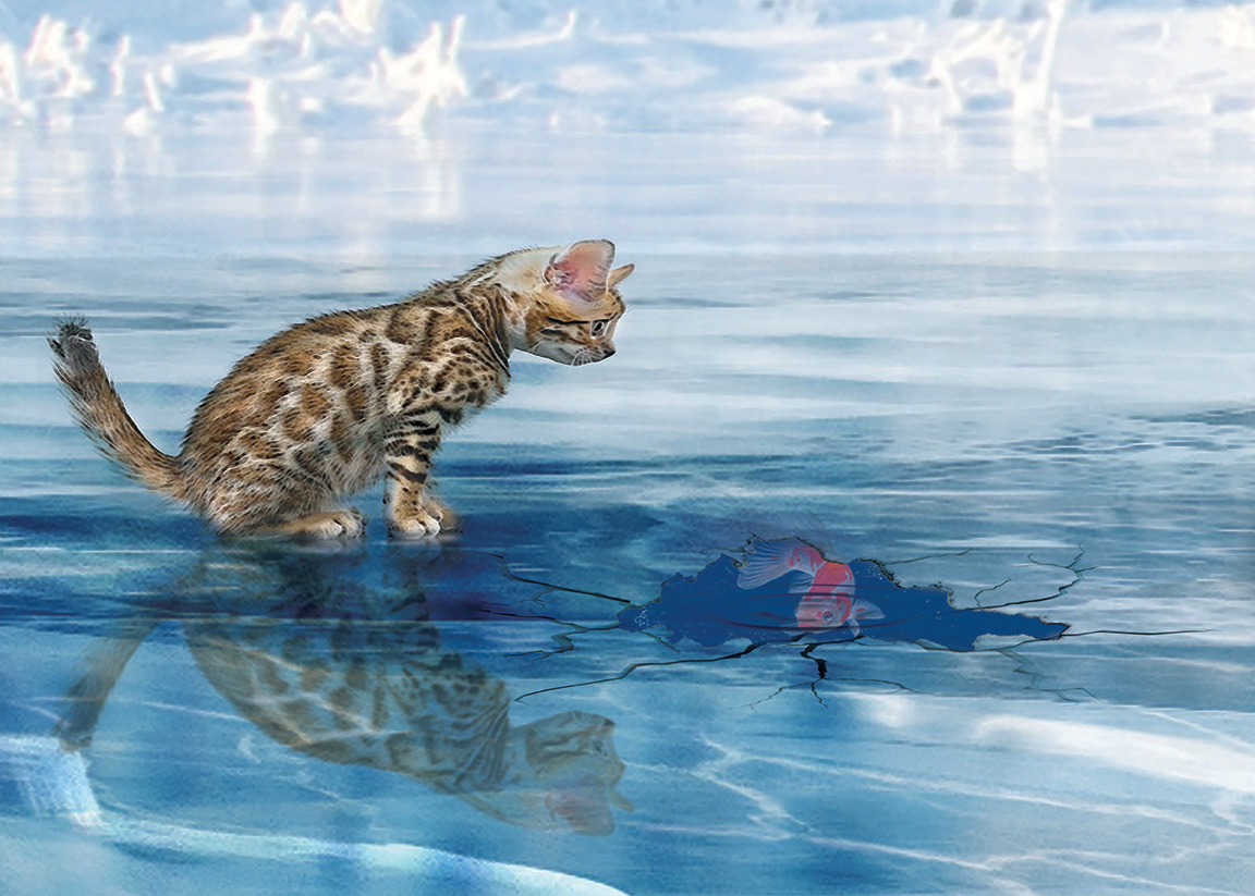 Ice Fishing