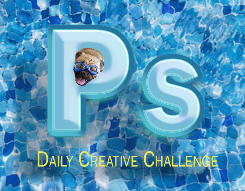 PS Cover