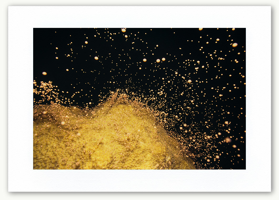 Steve Hanson Diver Photographer Coral spawning Art print Seven Seas Photos