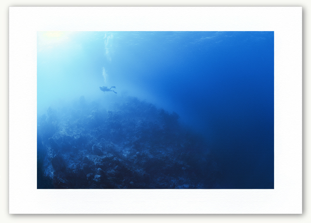 Steve Hanson Photographer Diver above undersea wall Art print Seven Seas Photos