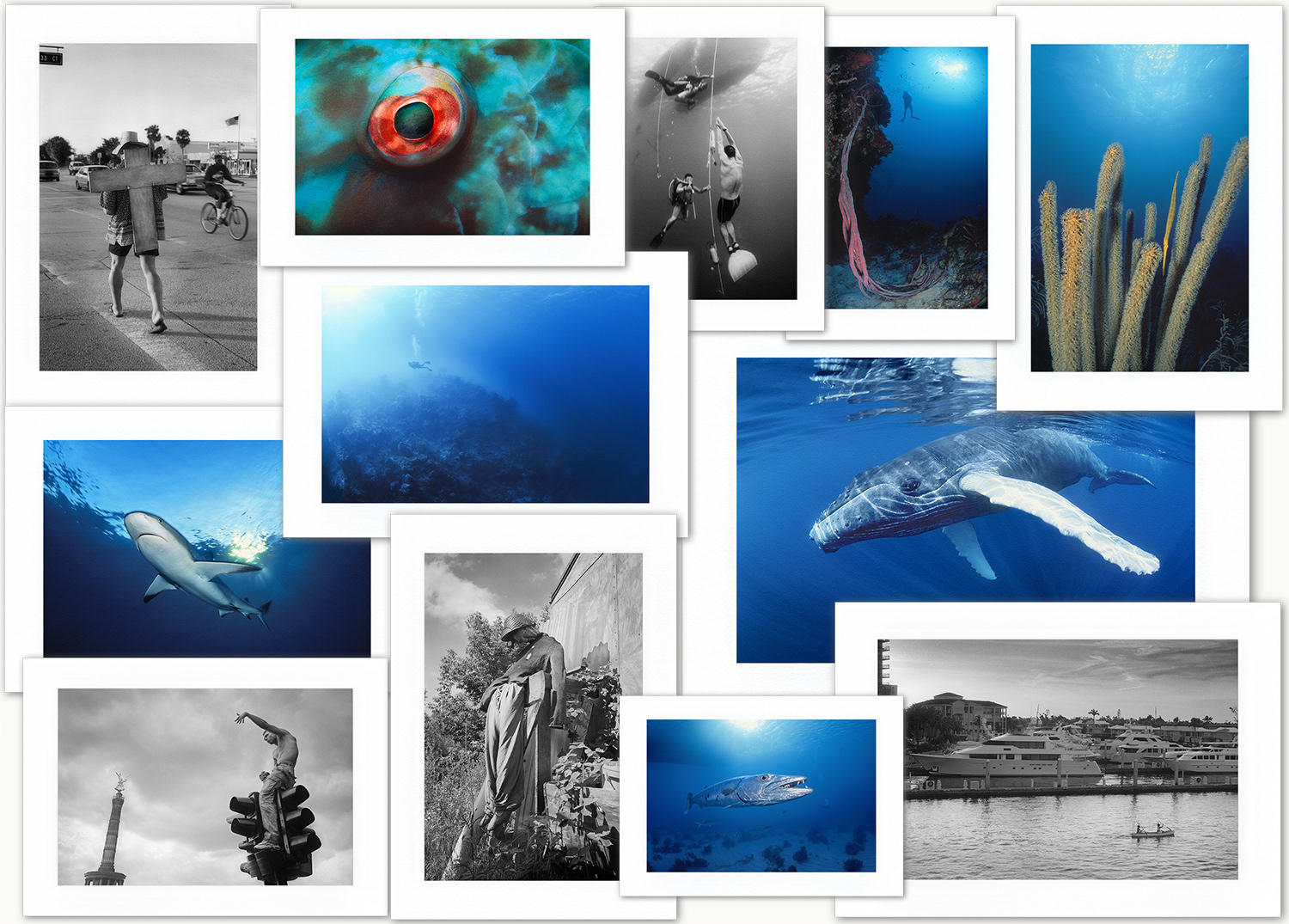 Steve Hanson Photography Art Prints