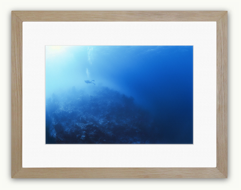 Seven Seas Photos Steve Hanson Underwater Art Print