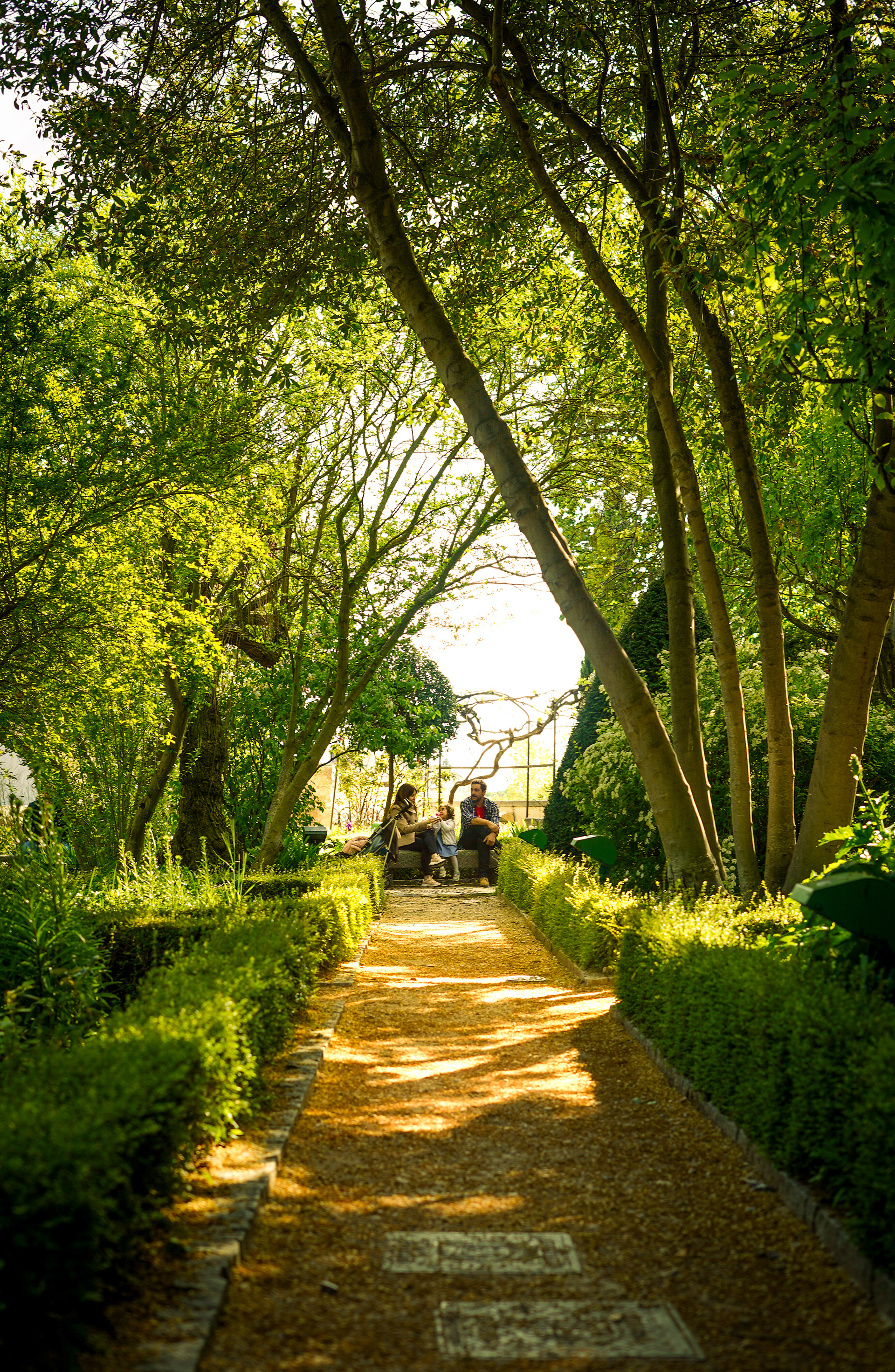 El Jardín de Calisto y Melibea, Salamanca