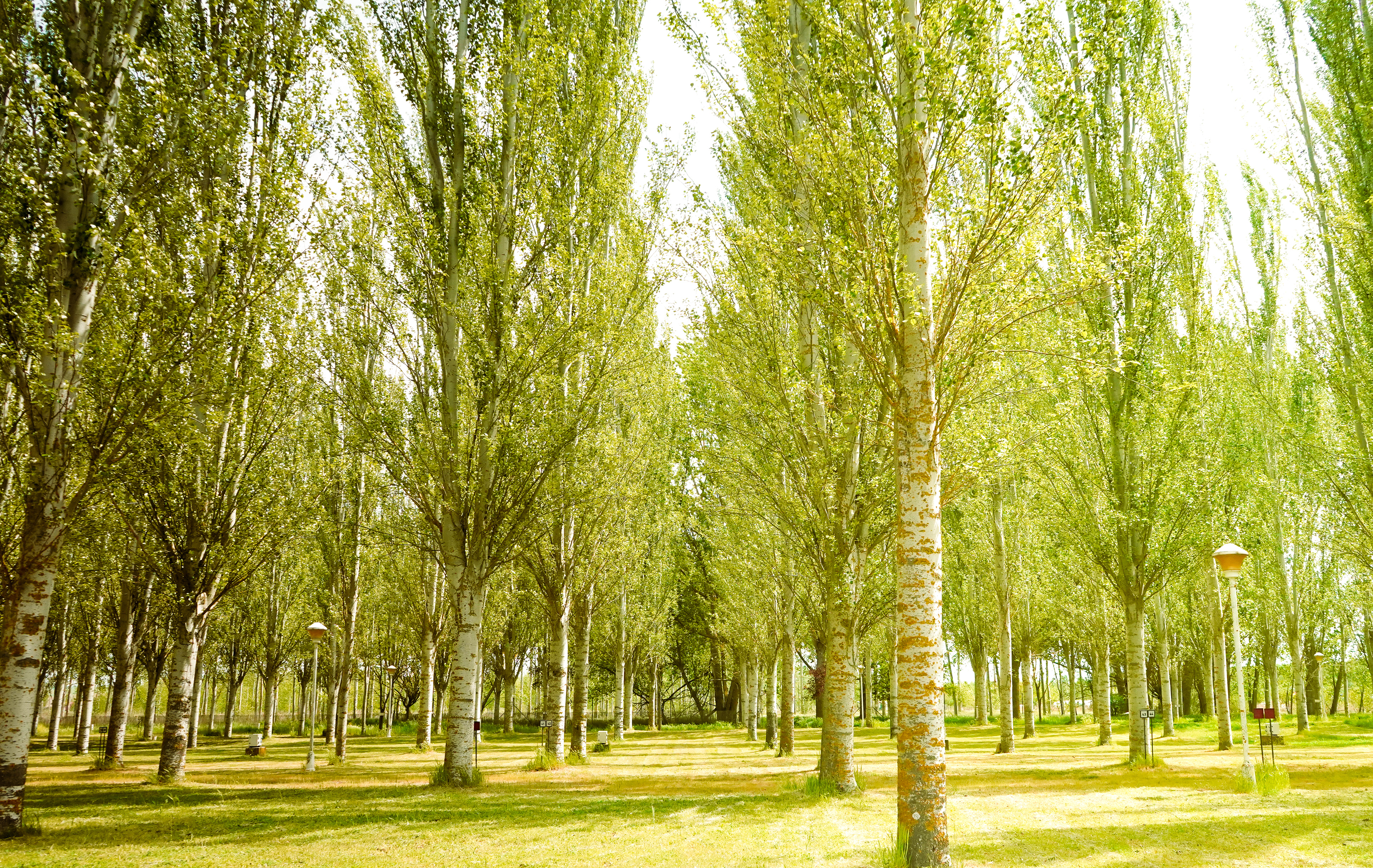 Alba de Tormes, Spain