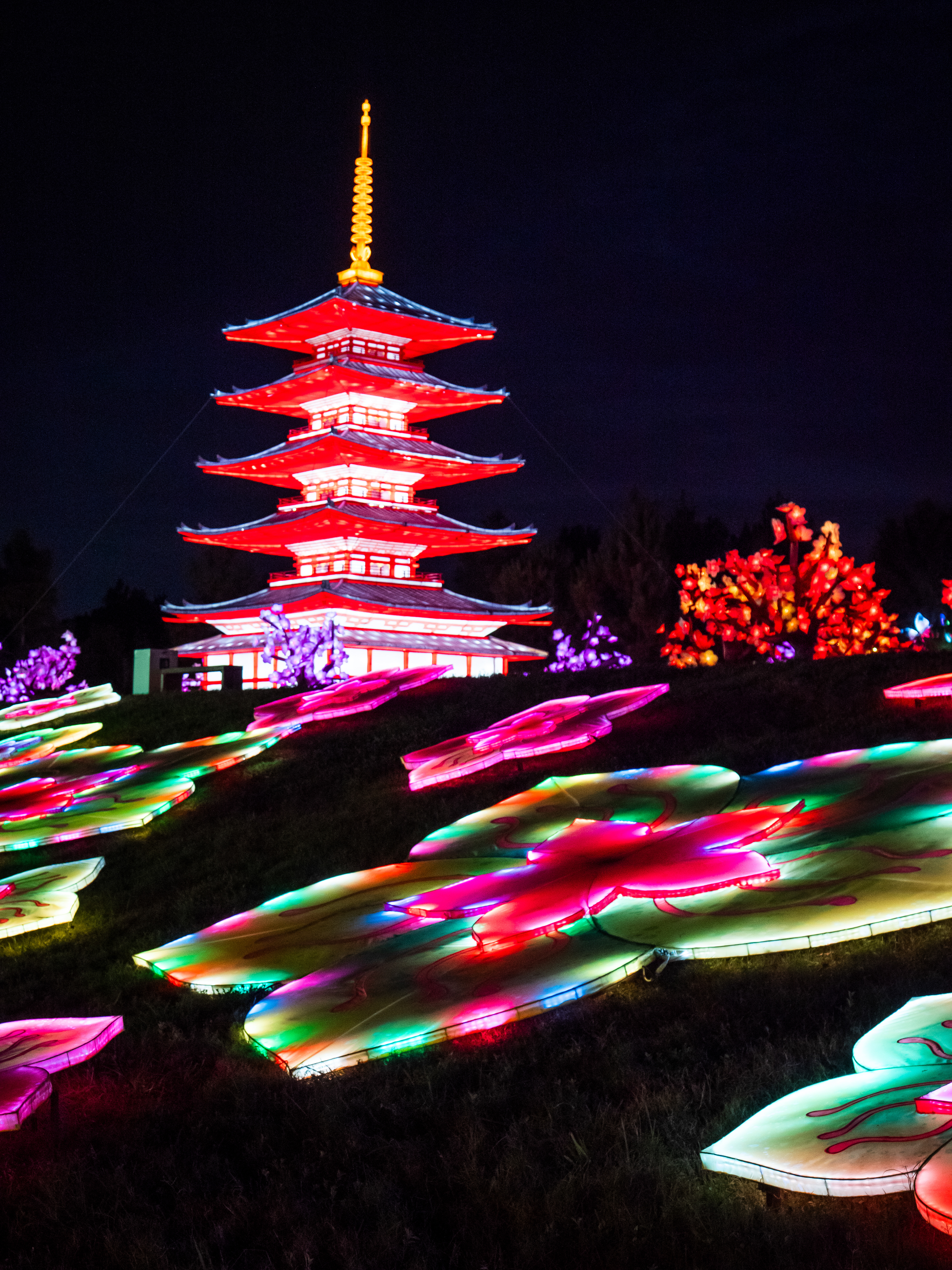Radiant Nature at Houston Botanic Gardens