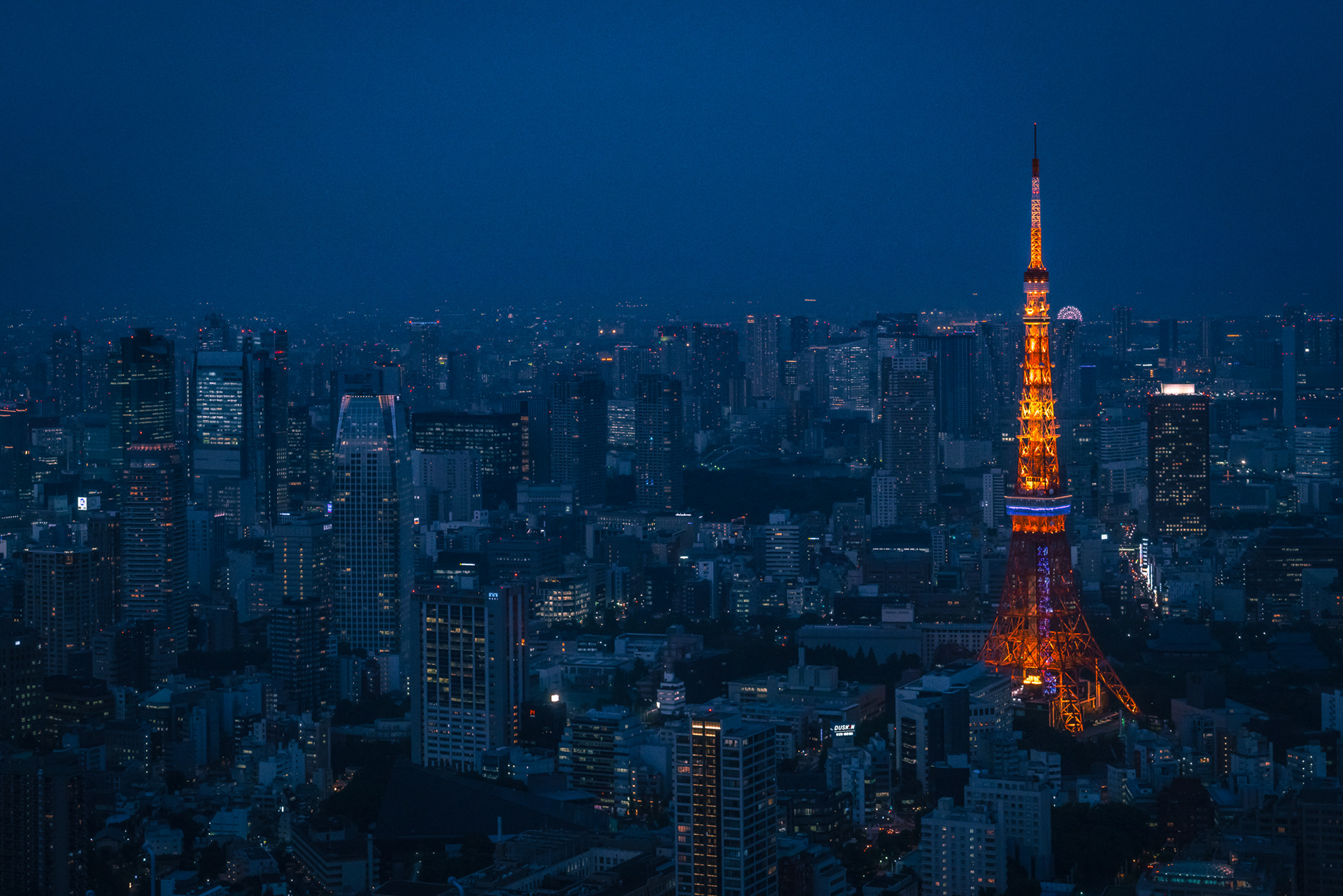 TOKYO TOWER - 2016