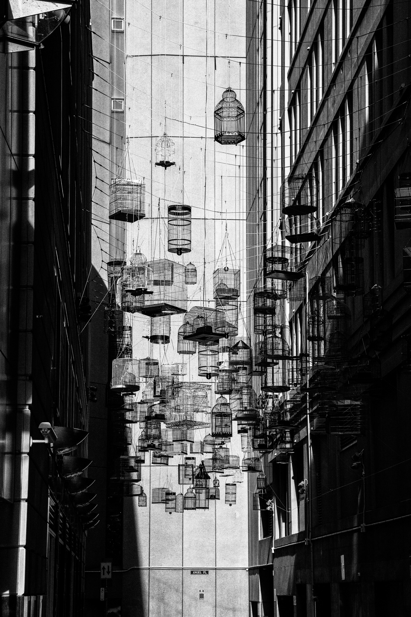 Laneway, Sydney