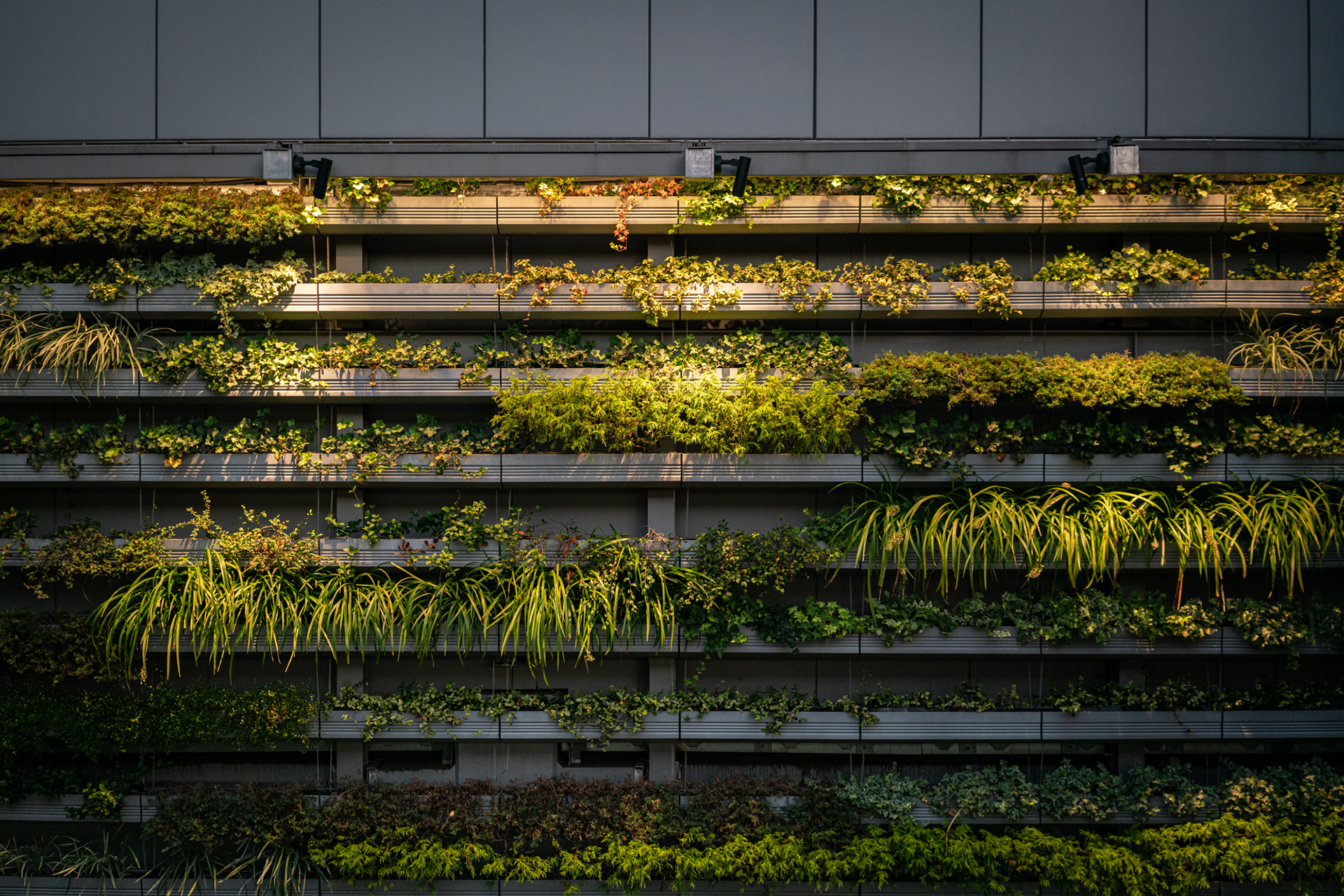Ginza 6 Rooftop Garden, Ginza - Tokyo 2022