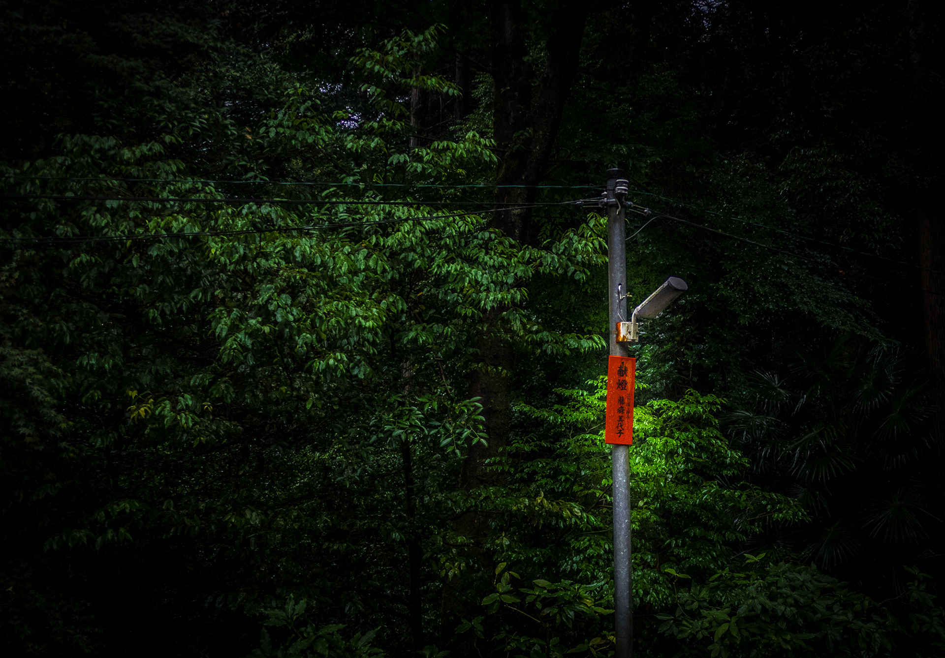 Signage, Mt Inari - Kyoto 2016