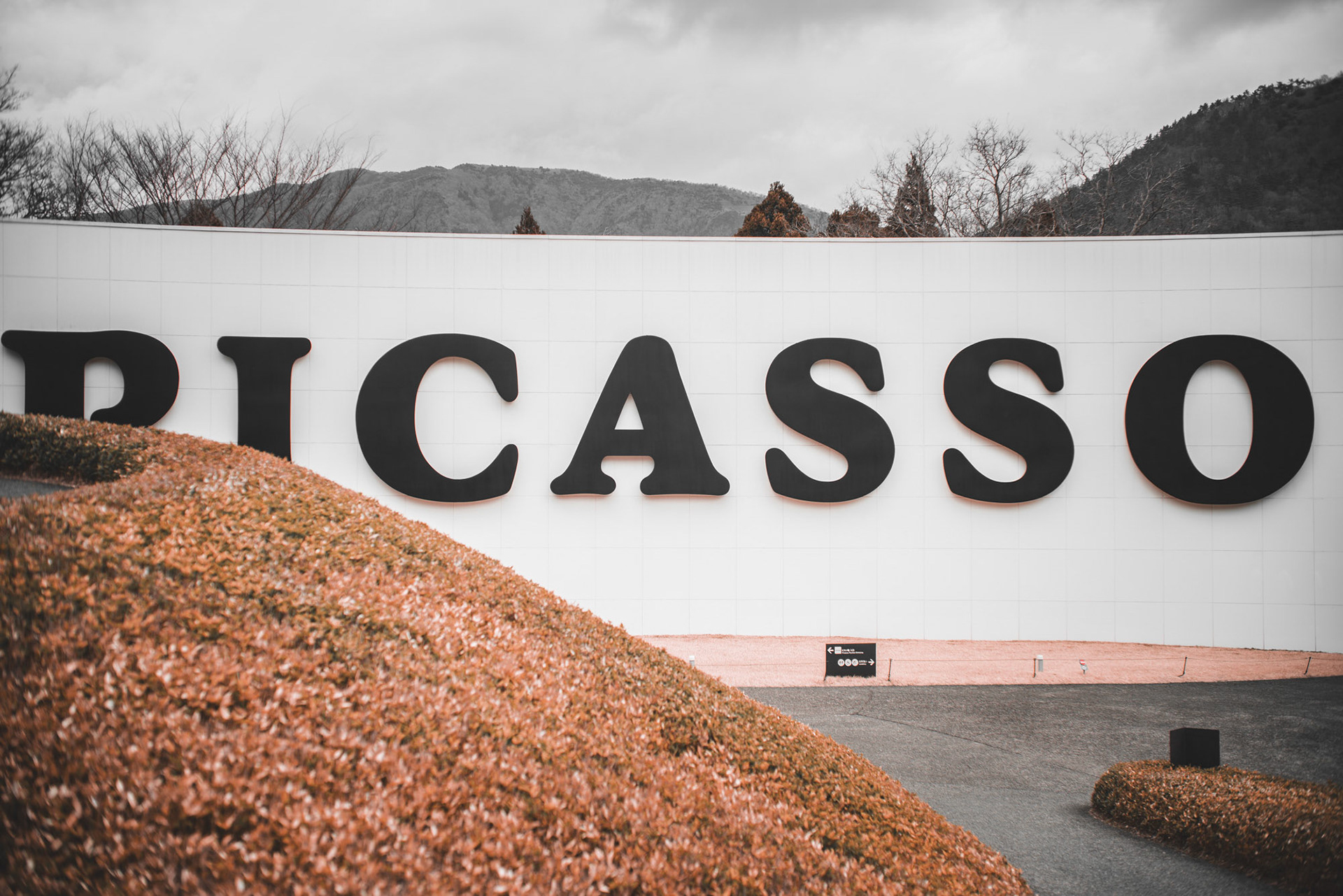 Picasso Pavillion