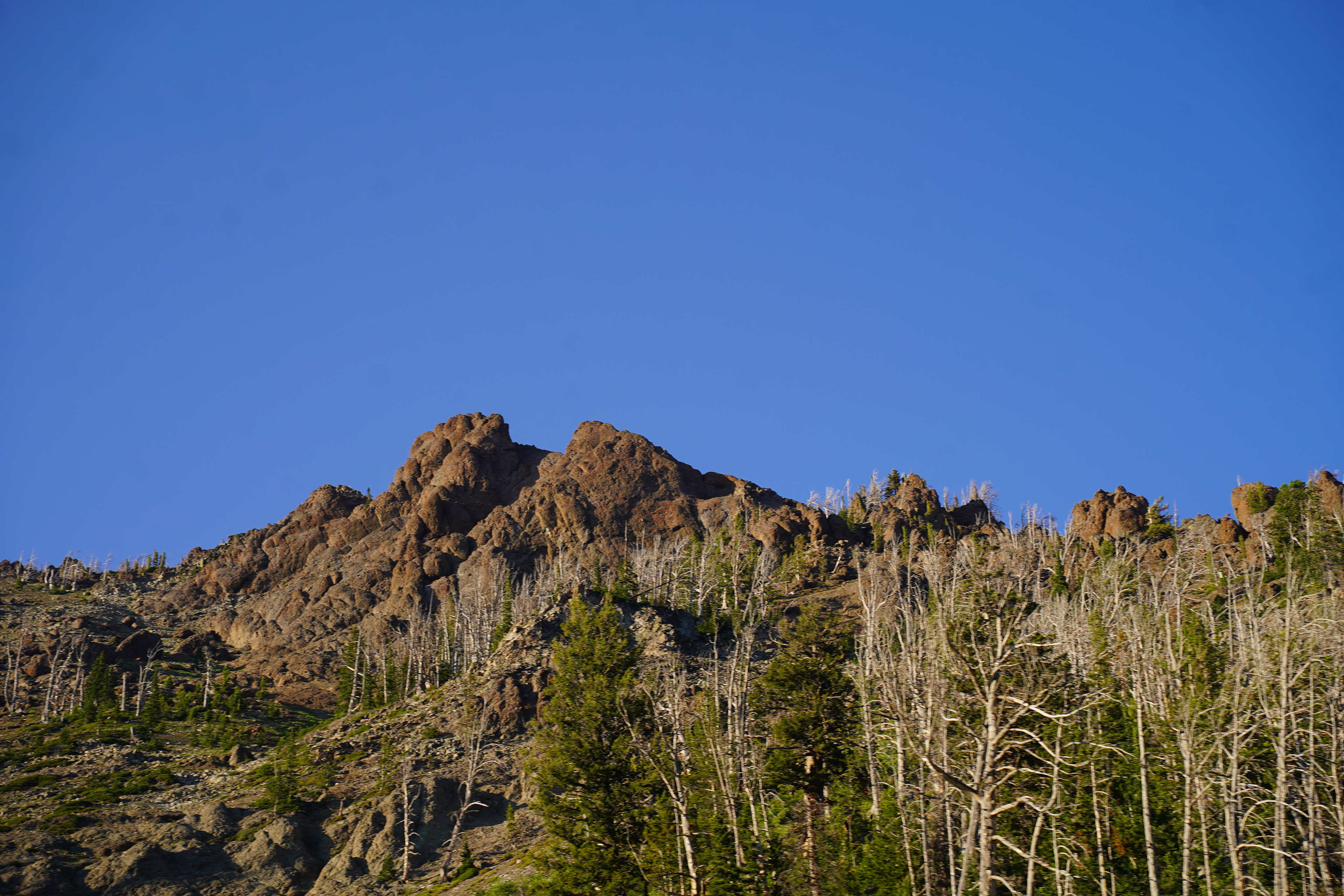 Yellowstone National Park