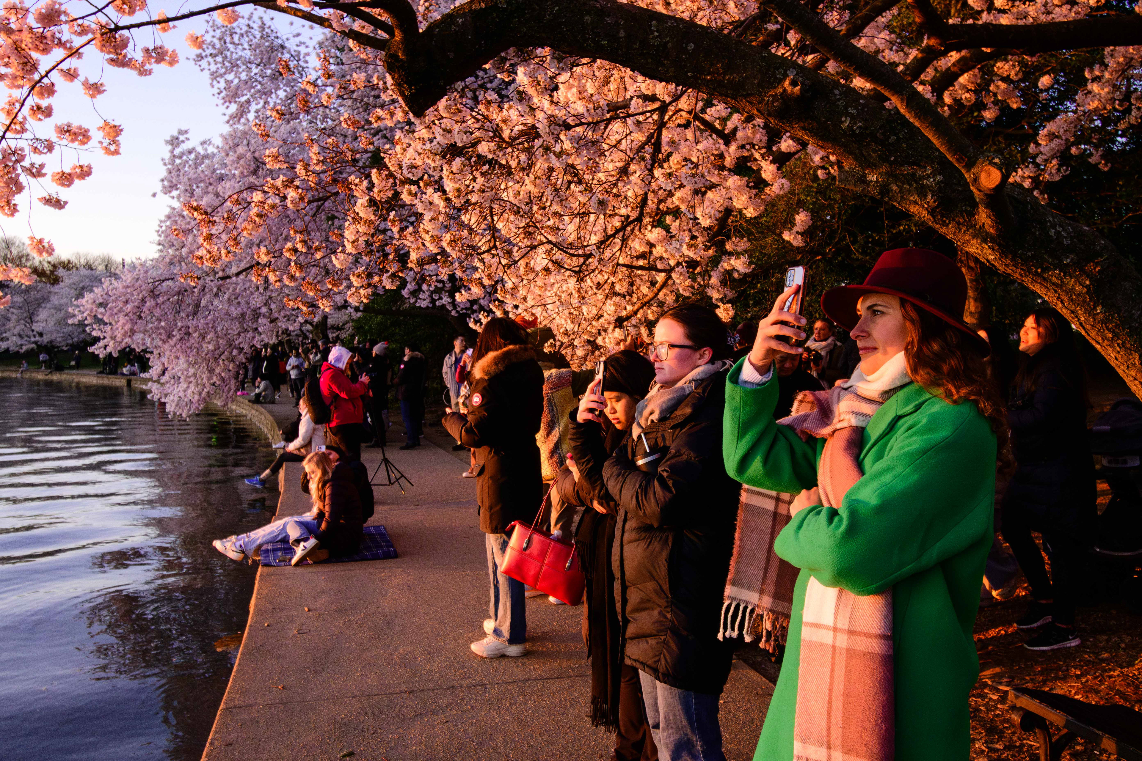 Tidal Basin