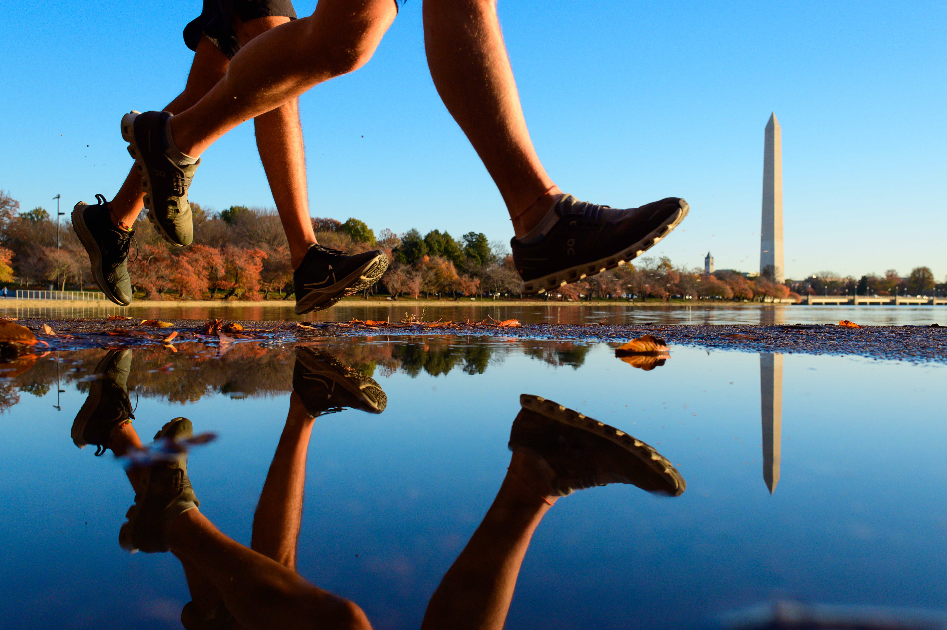 Tidal Basin