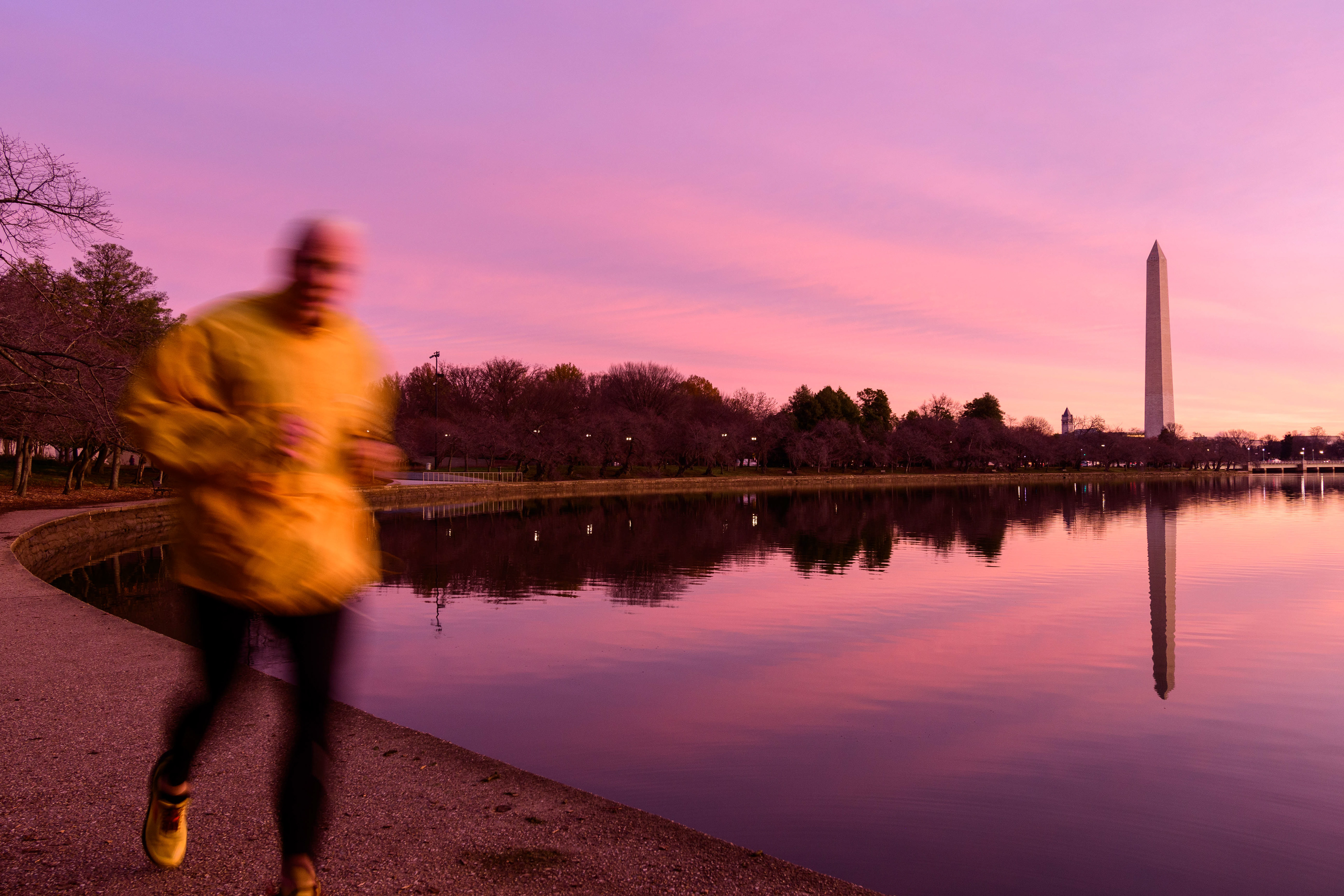 Tidal Basin
