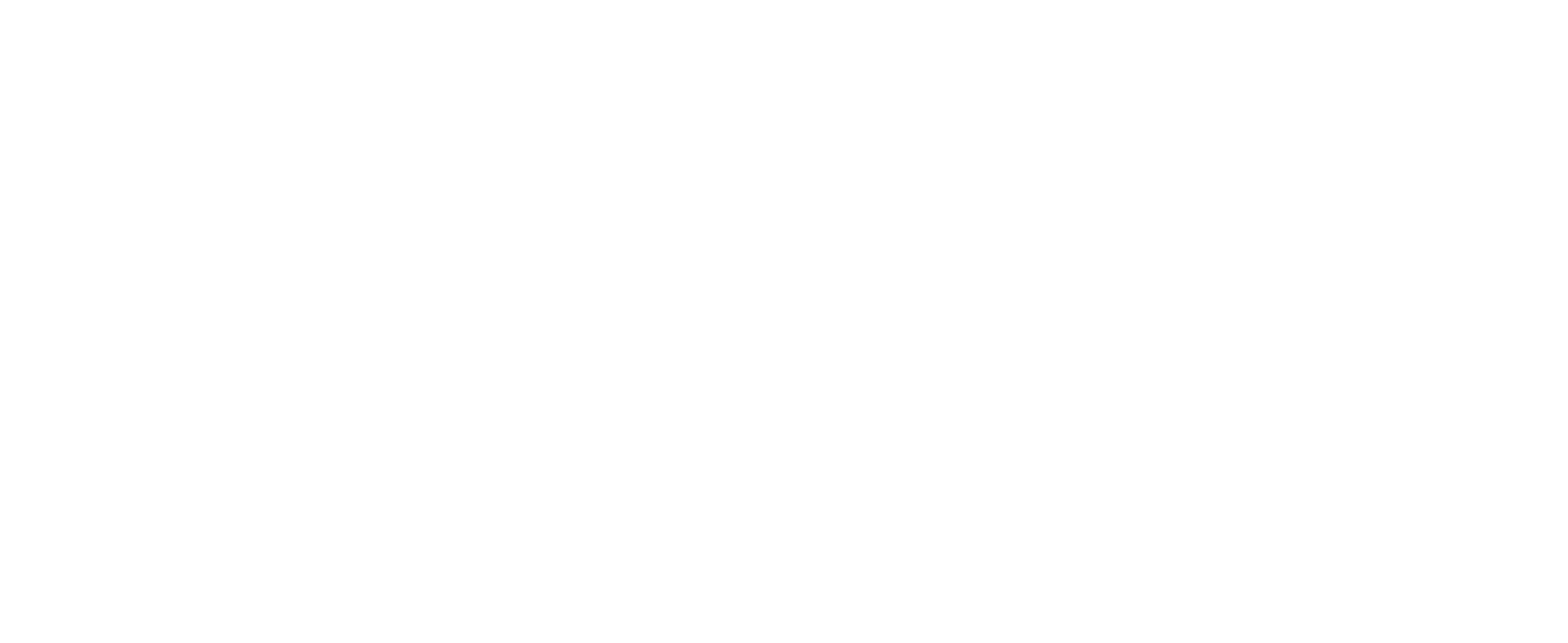 brandon blauer