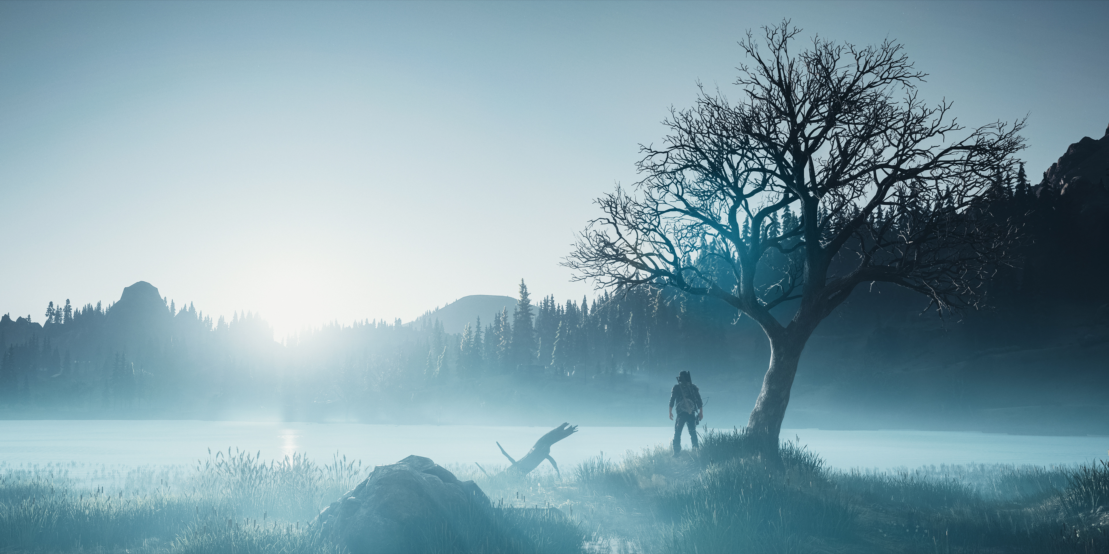 Days Gone
