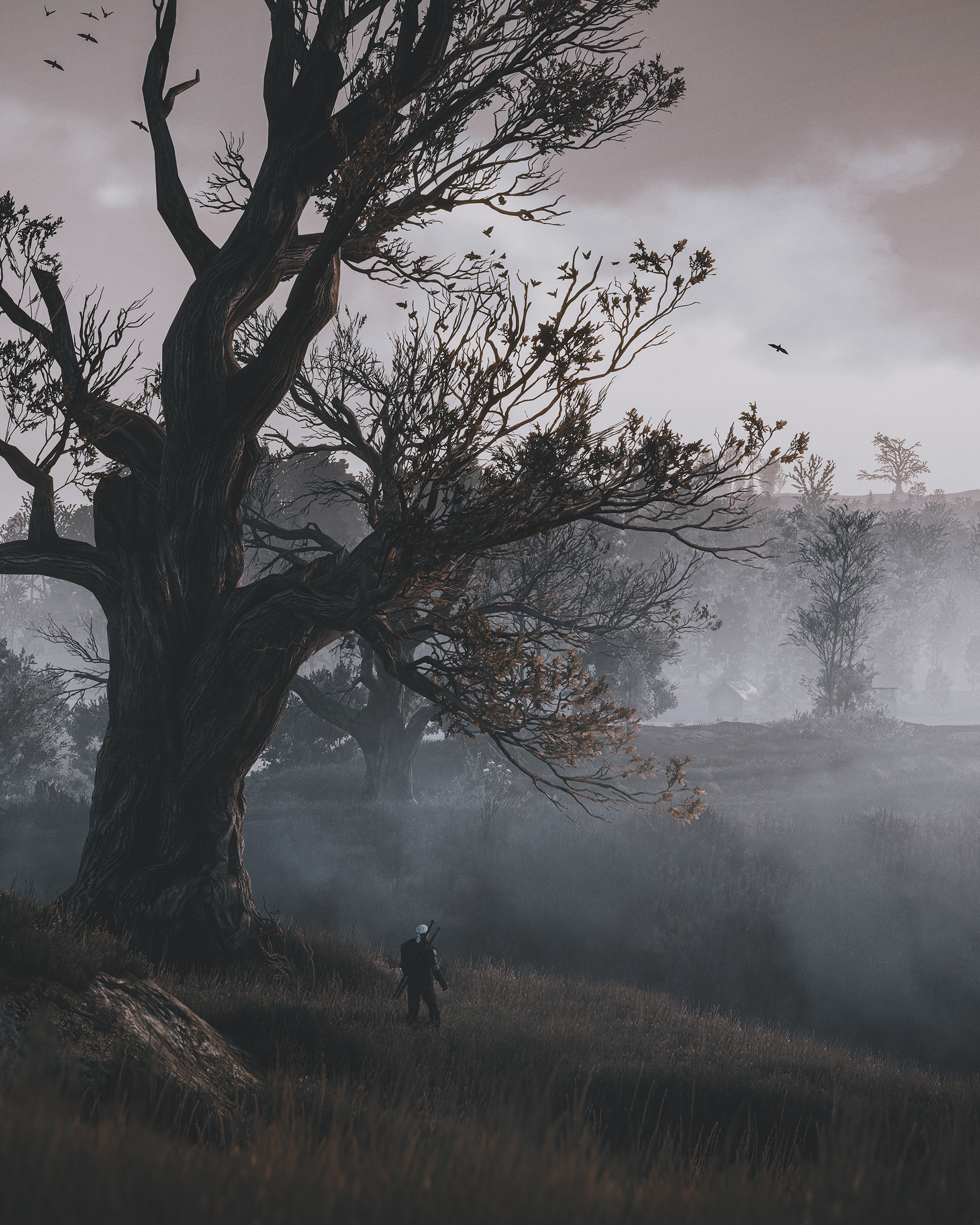 The Witcher 3: Wild Hunt