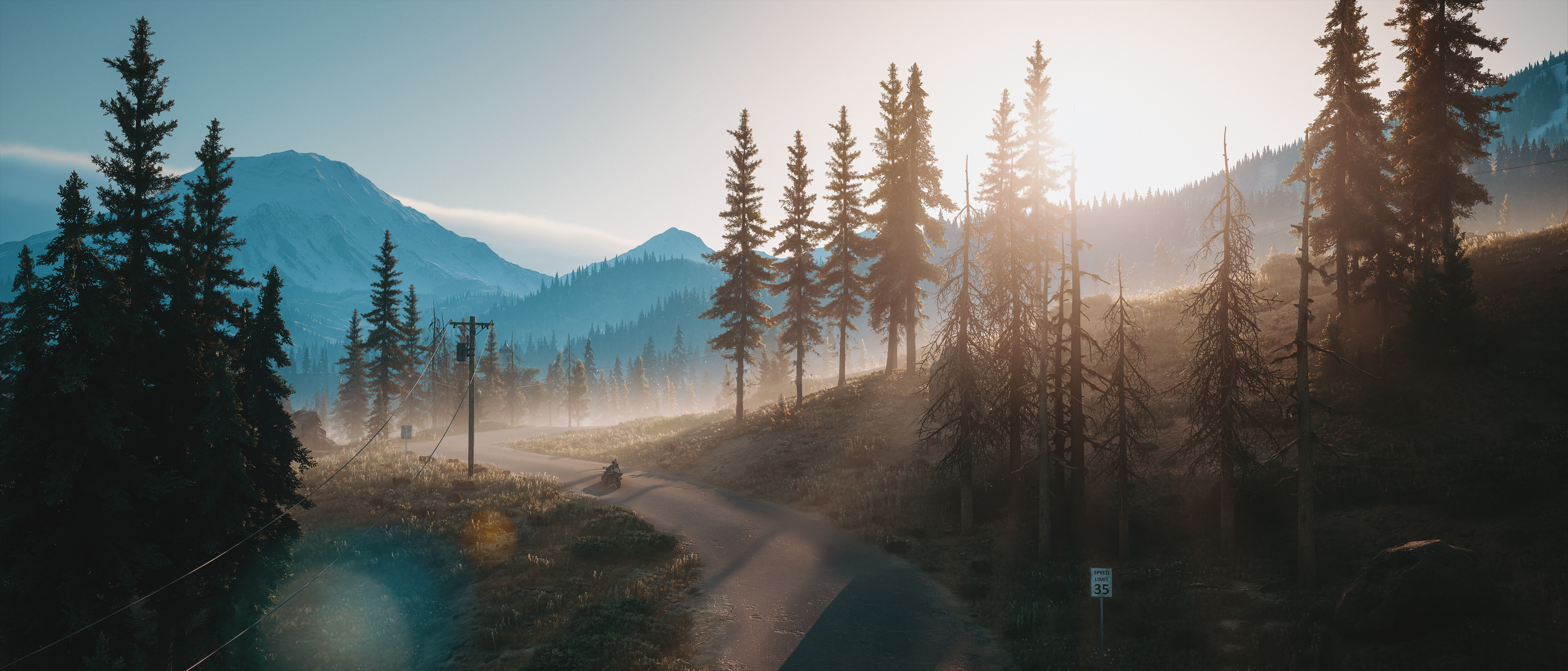 Days Gone