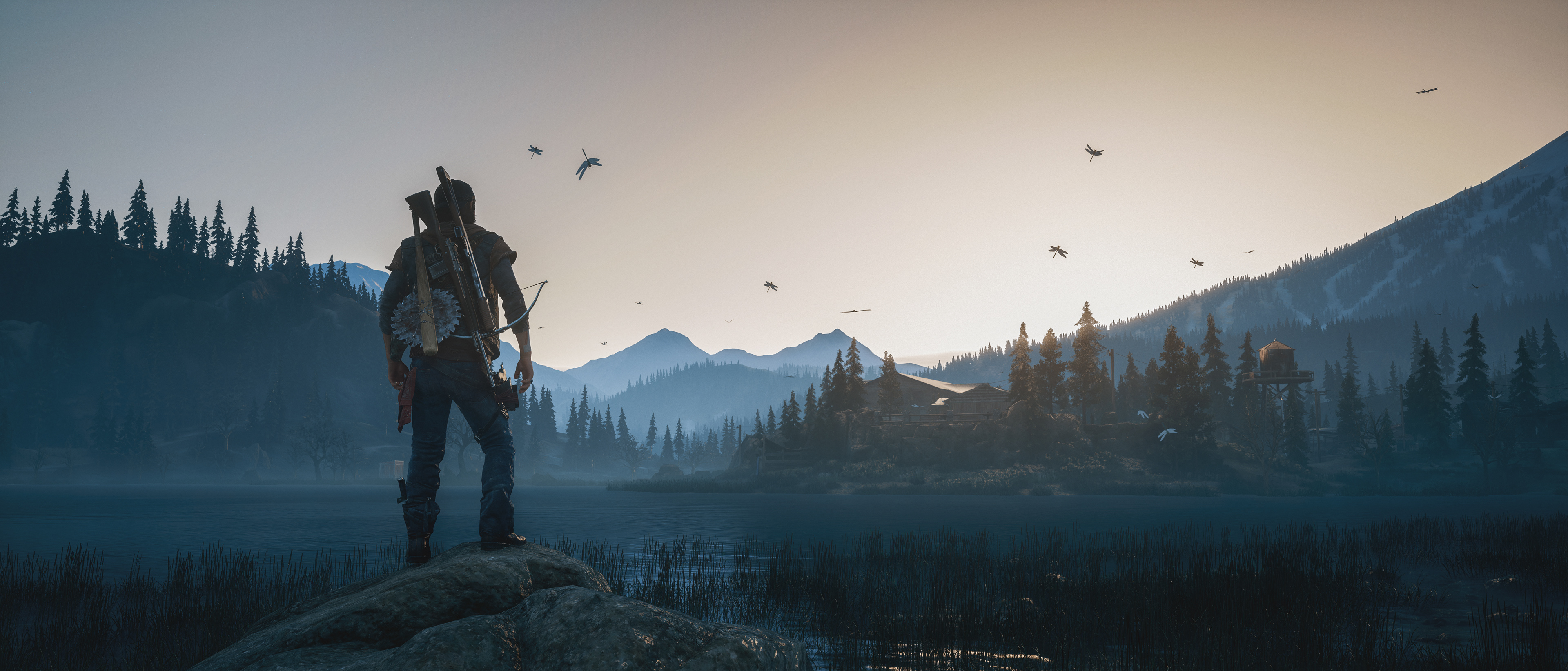 Days Gone