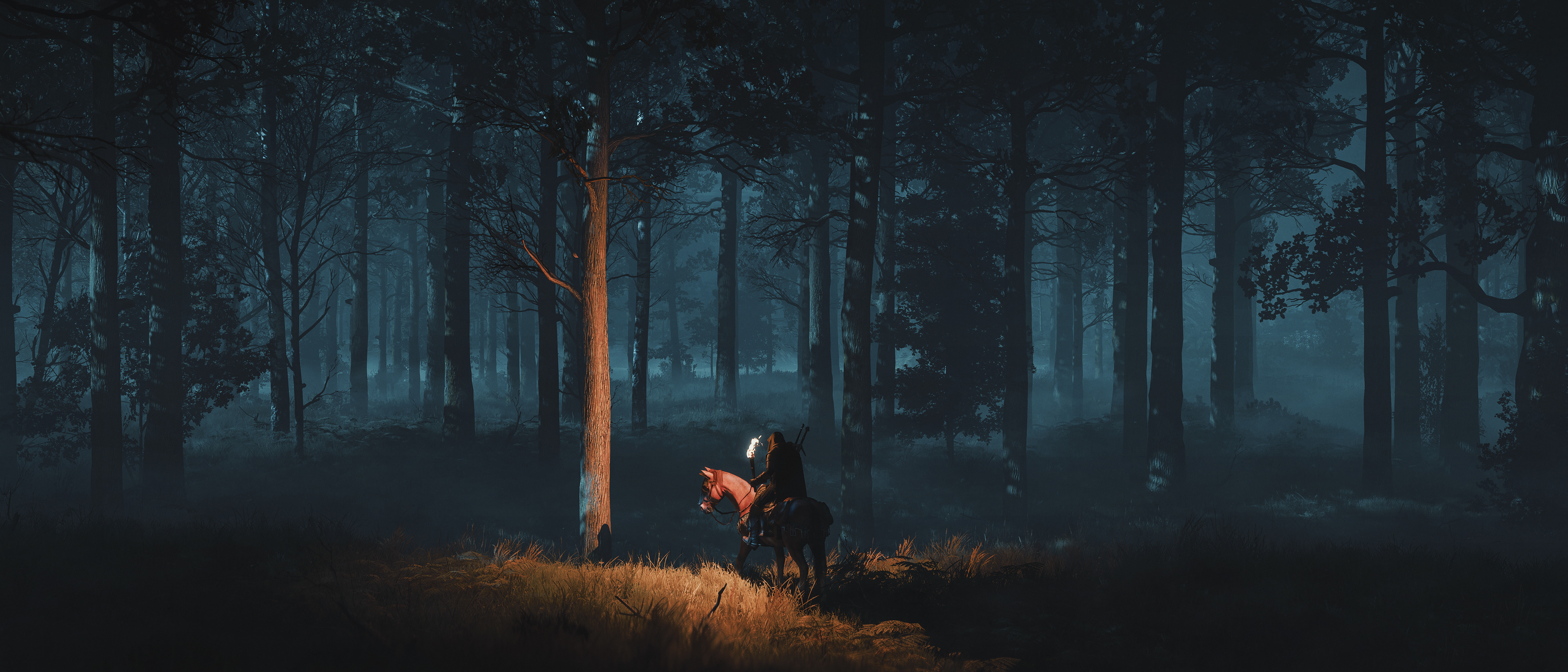 The Witcher 3: Wild Hunt (Next-gen)