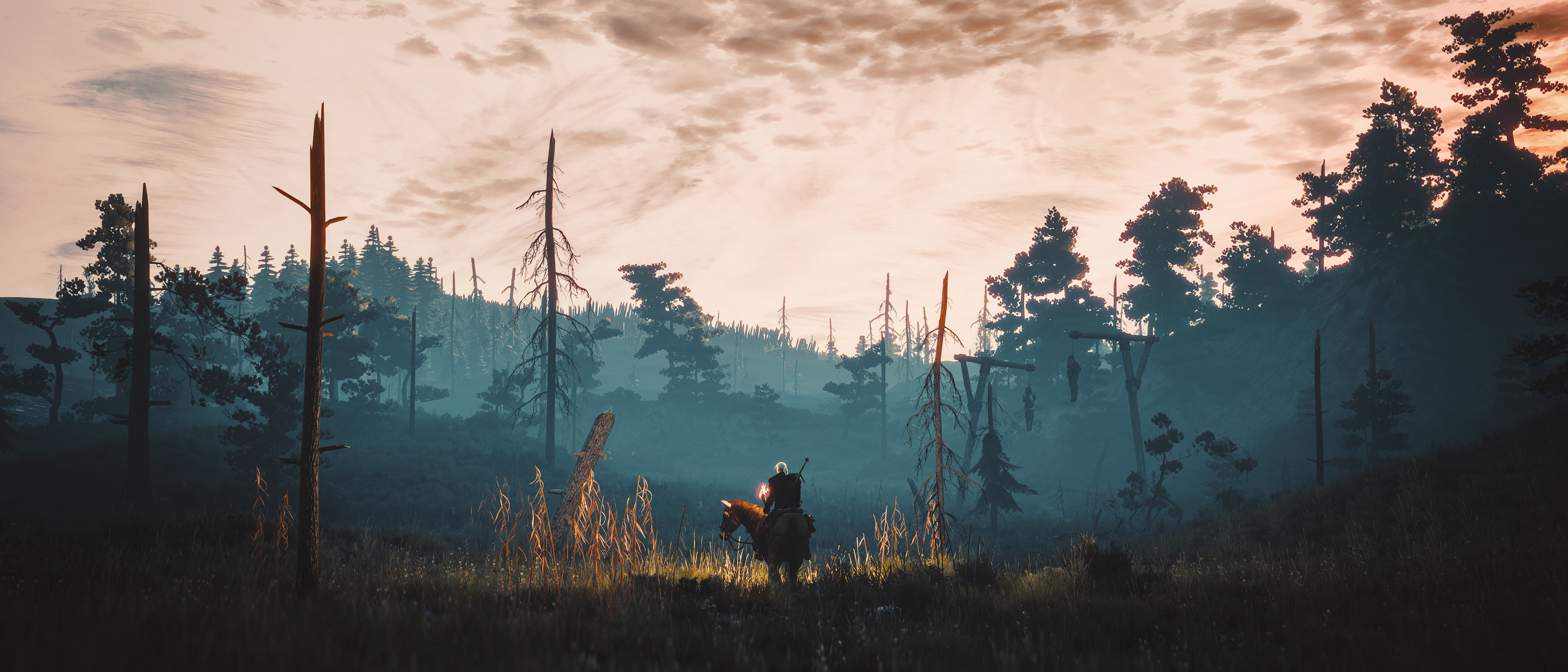 The Witcher 3: Wild Hunt (Next-gen)