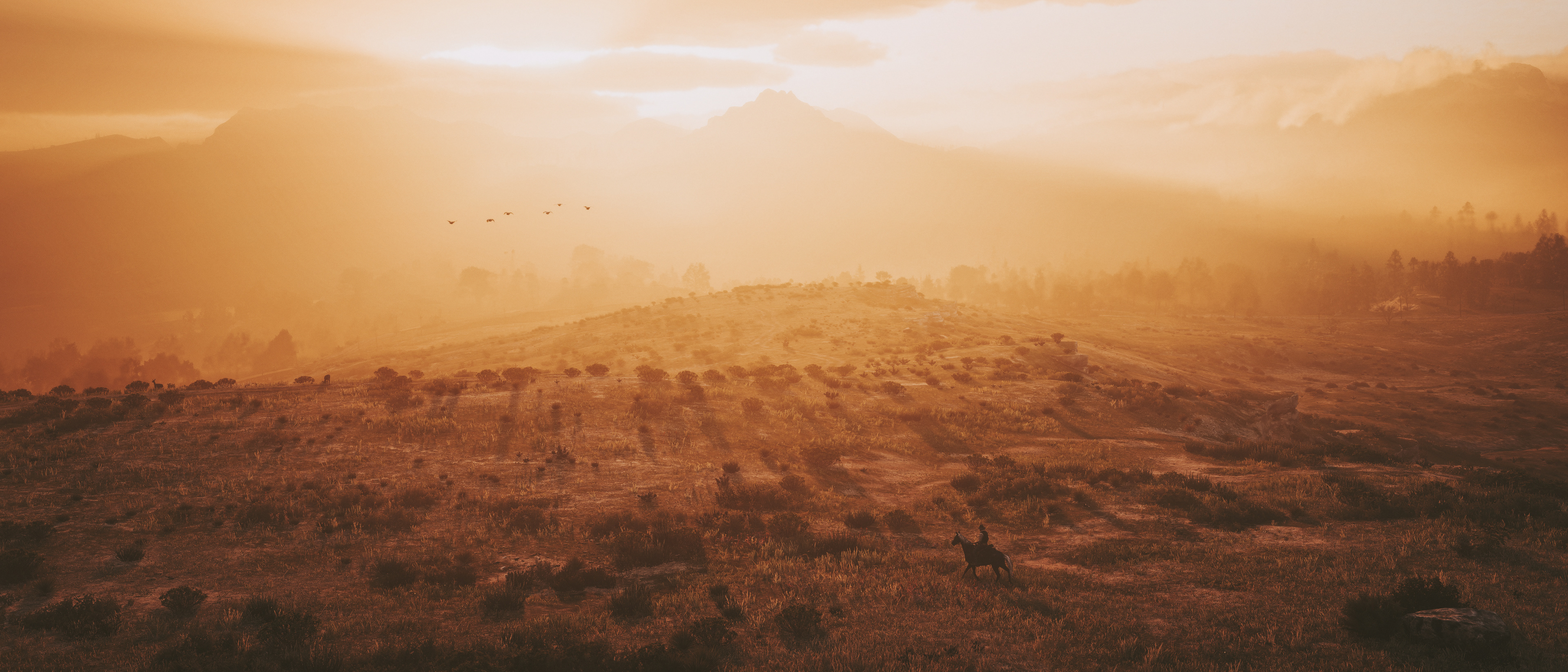 Red Dead Redemption 2