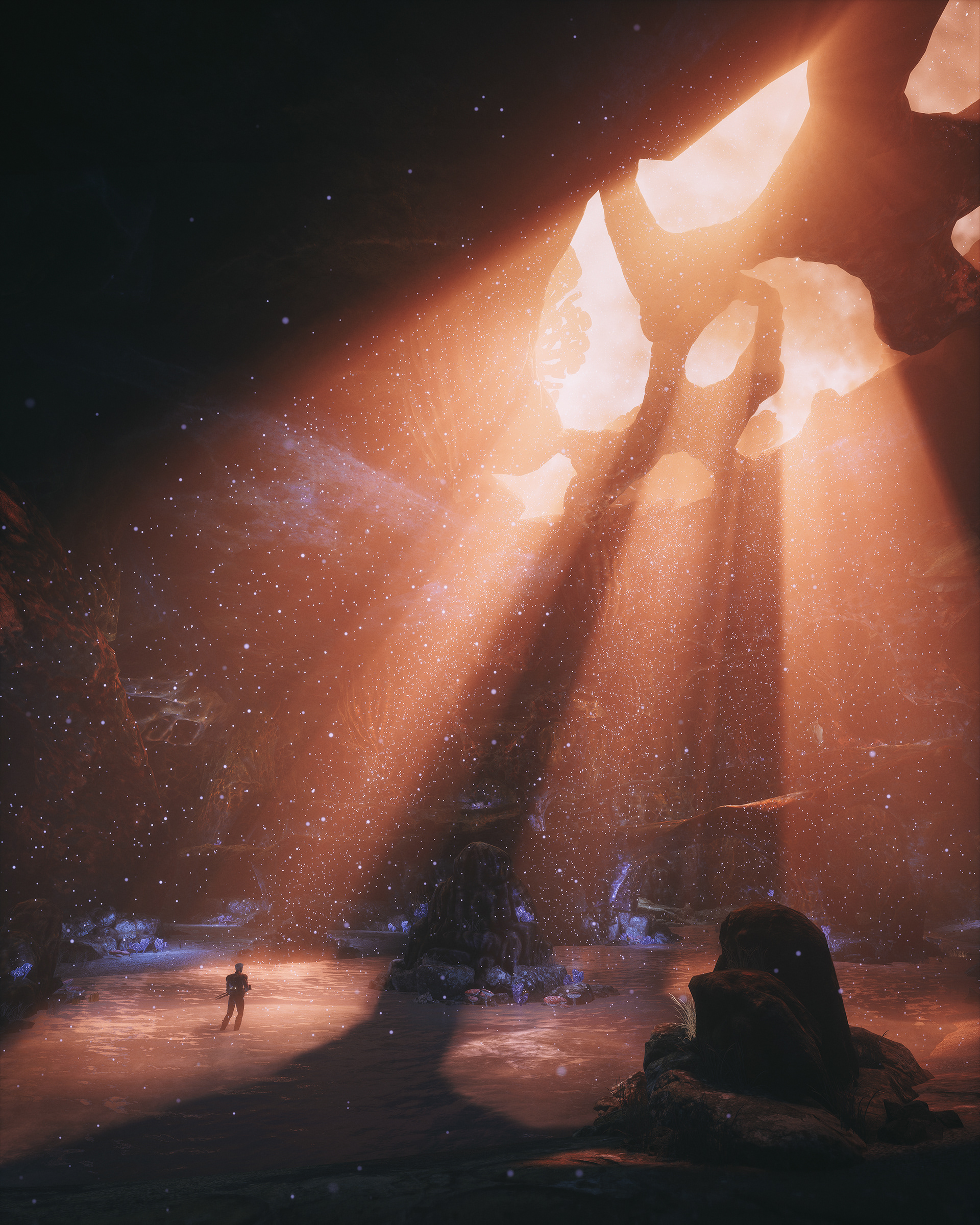 The Outer Worlds